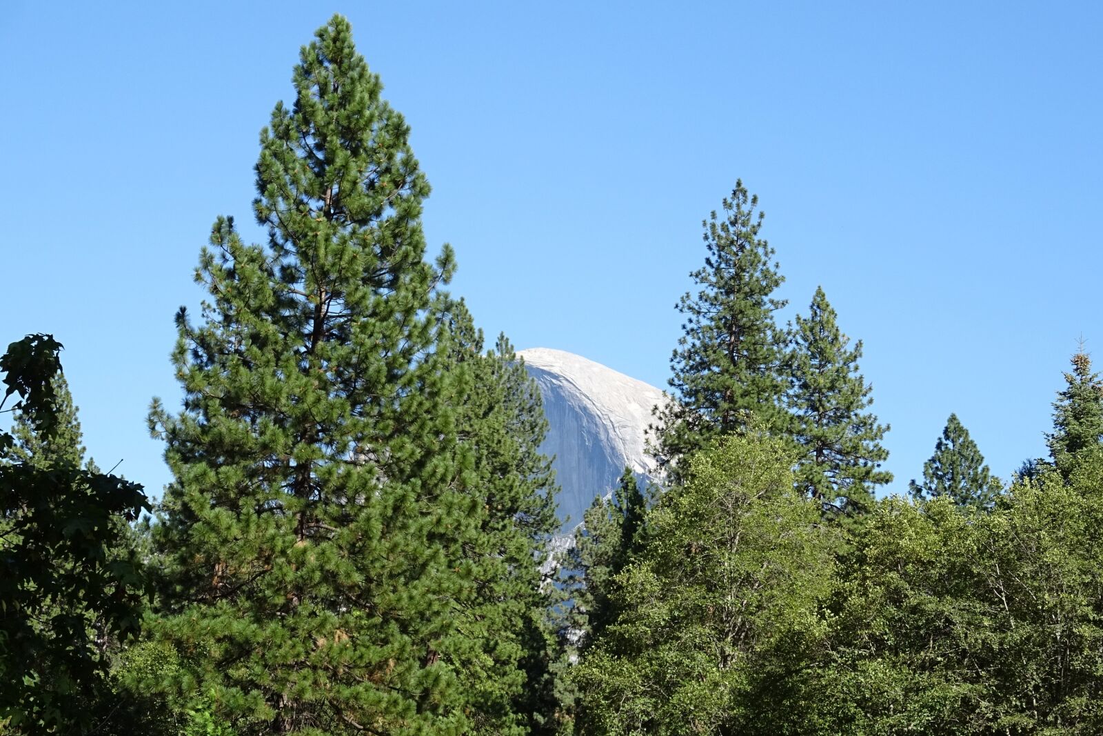 Sony DSC-HX60V sample photo. Half dome, yosemite, national photography