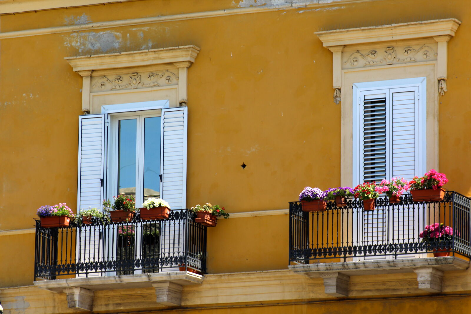 Canon EF 75-300mm f/4-5.6 sample photo