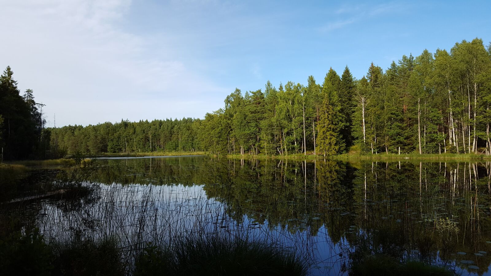Samsung Galaxy S6 sample photo. Water, forest, sweden photography