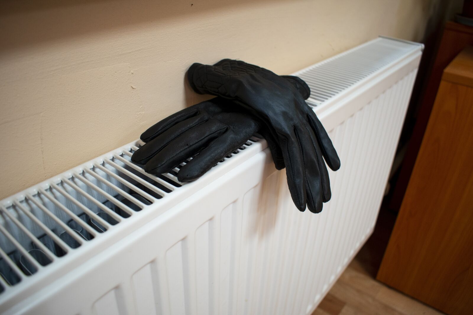 Nikon D3500 sample photo. Heating, battery, heat photography
