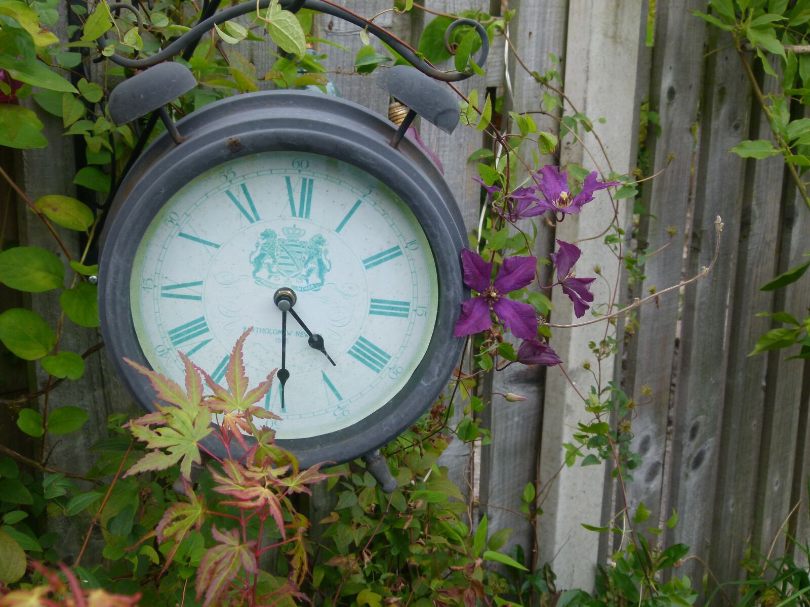 Panasonic Lumix DMC-FZ100 sample photo. Time, clock, garden photography