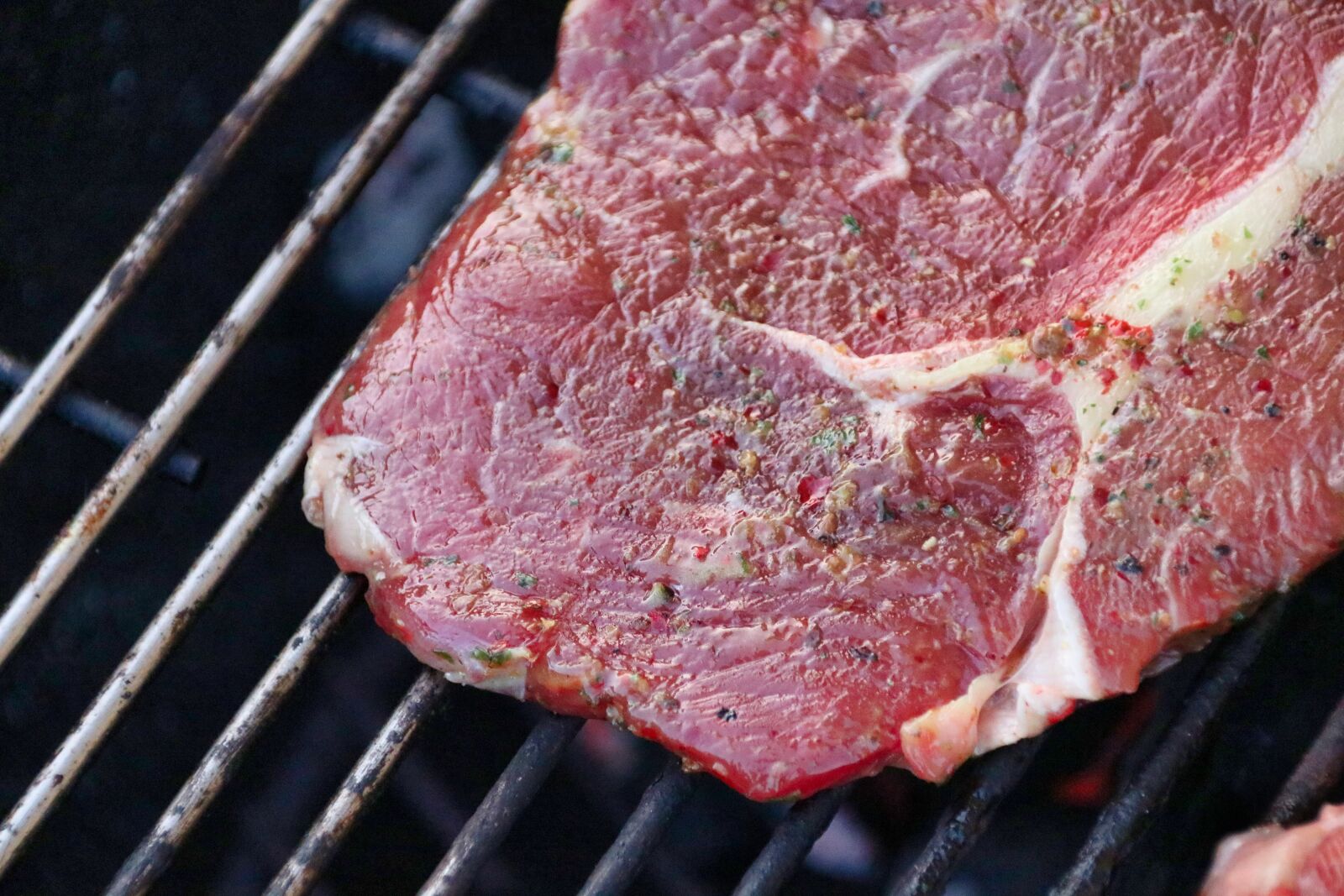 Canon EOS 80D sample photo. Beef, steak, grilled photography