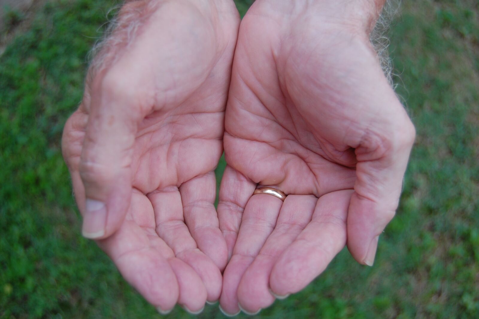 Nikon D40 sample photo. Hand, man, adult photography