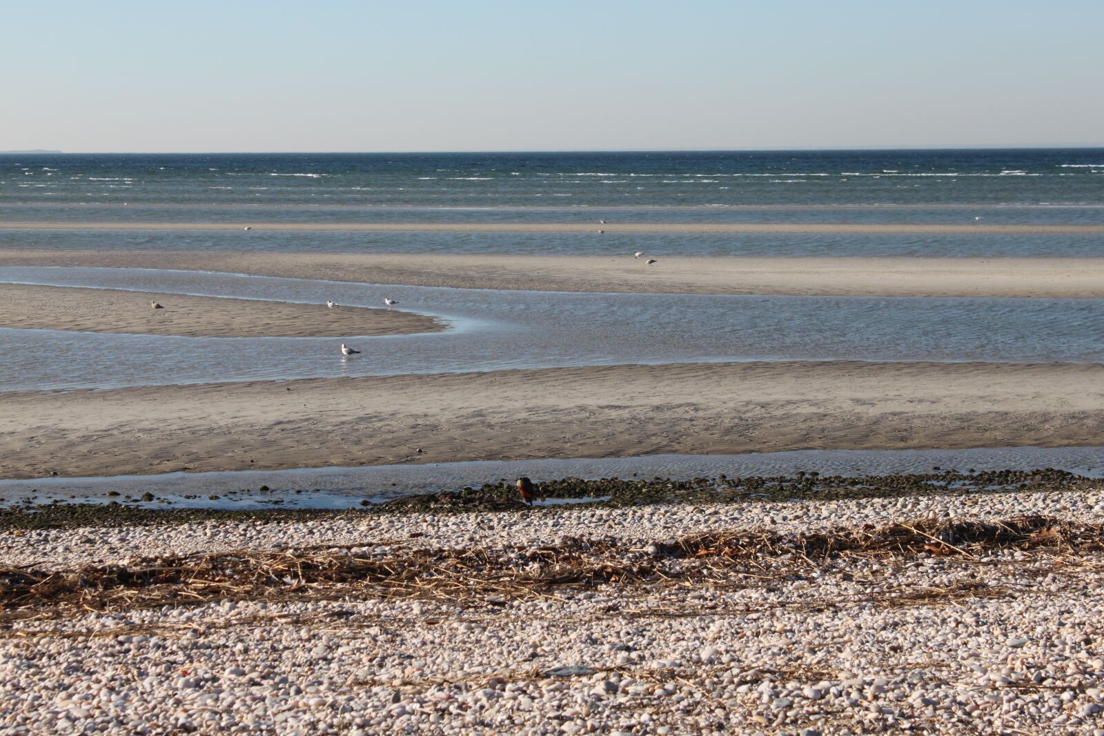 Canon EOS 500D (EOS Rebel T1i / EOS Kiss X3) sample photo. Low tide, sand, ecology photography
