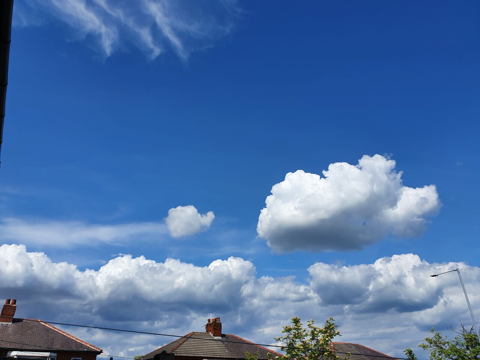 Samsung Galaxy S10 sample photo. Blueness, out of the photography