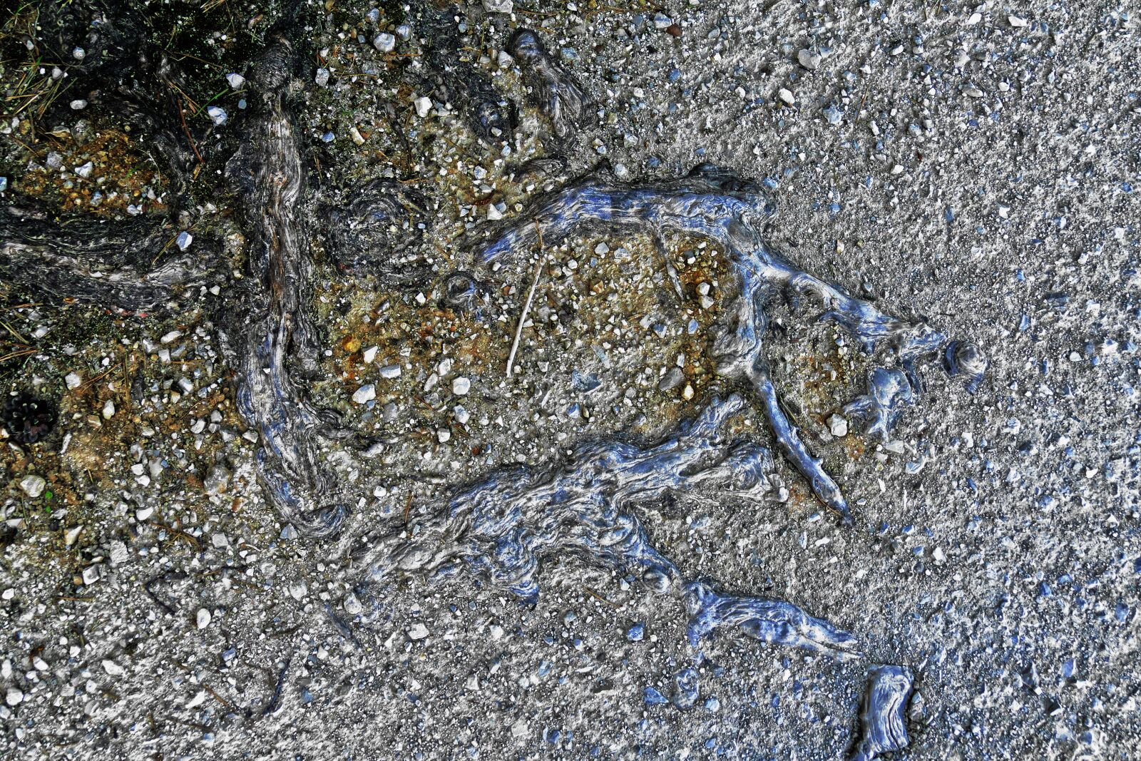 Panasonic Lumix DMC-FZ1000 sample photo. Root, wood, structure photography
