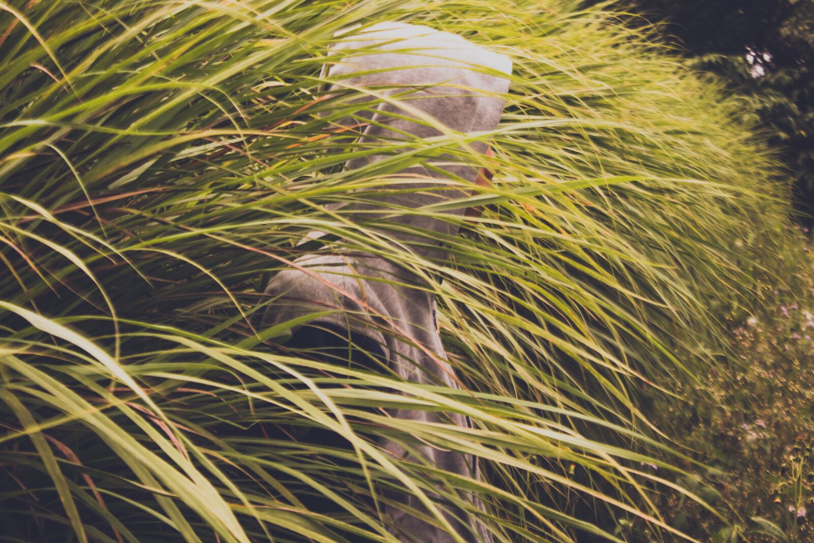 Canon EOS 1300D (EOS Rebel T6 / EOS Kiss X80) sample photo. People, grass, portrait photography