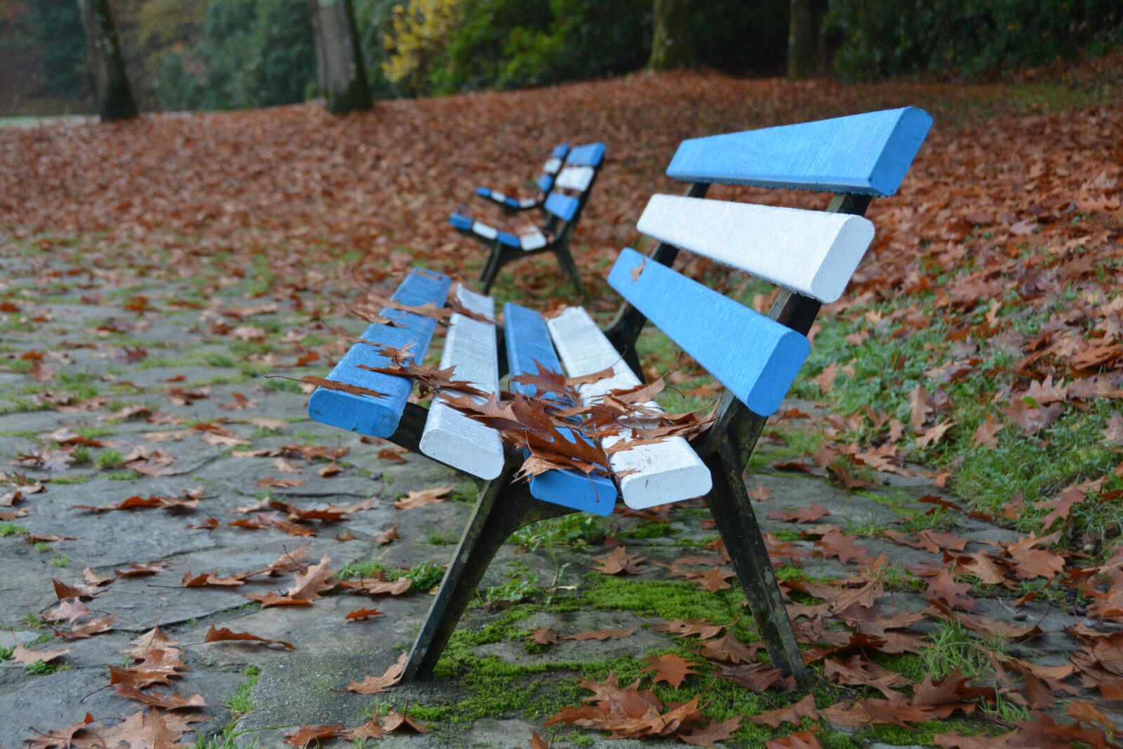 Nikon D7100 sample photo. Bench, fall, park photography