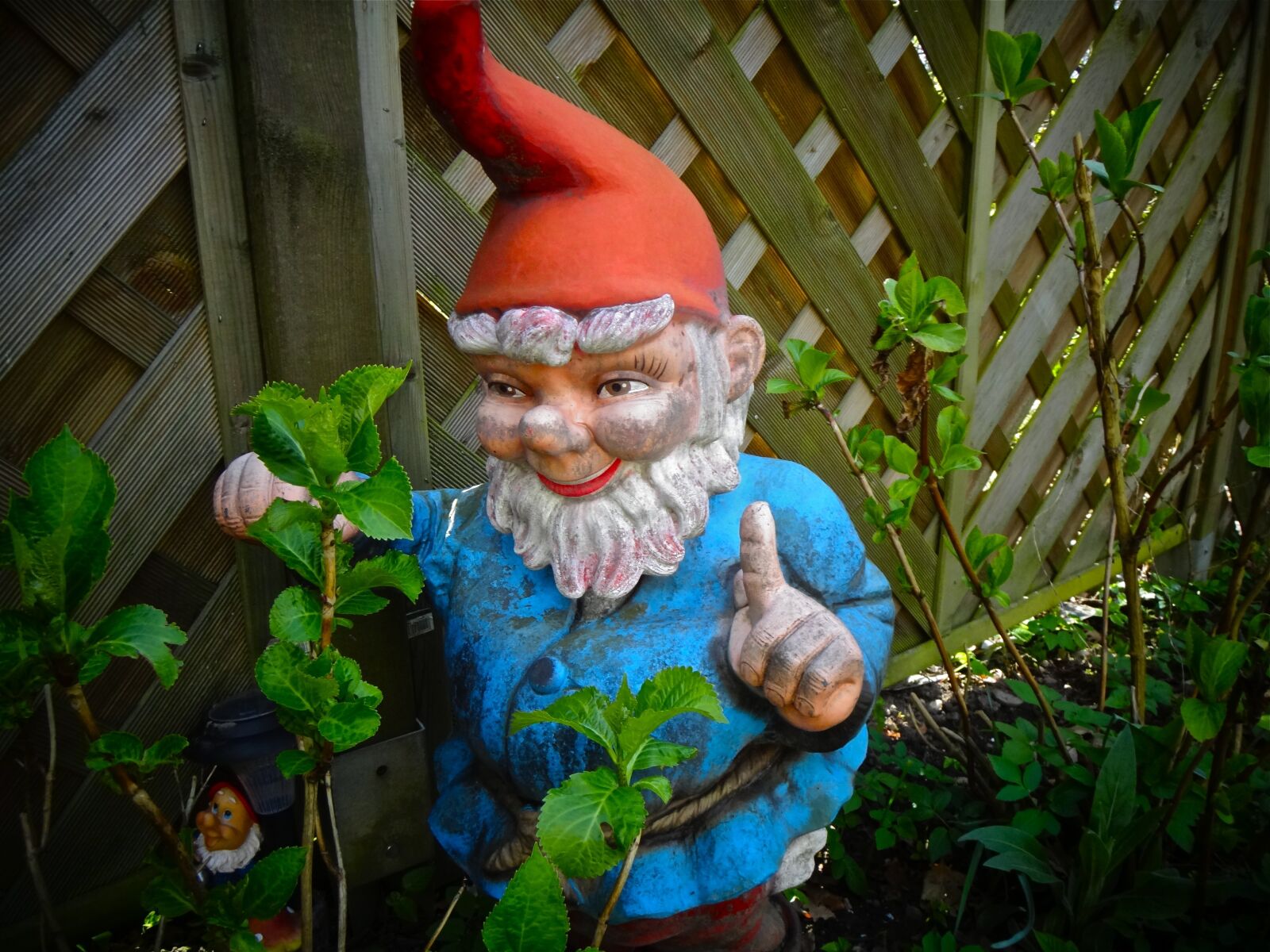 Sony DSC-TX55 sample photo. Garden gnome, garden, imp photography