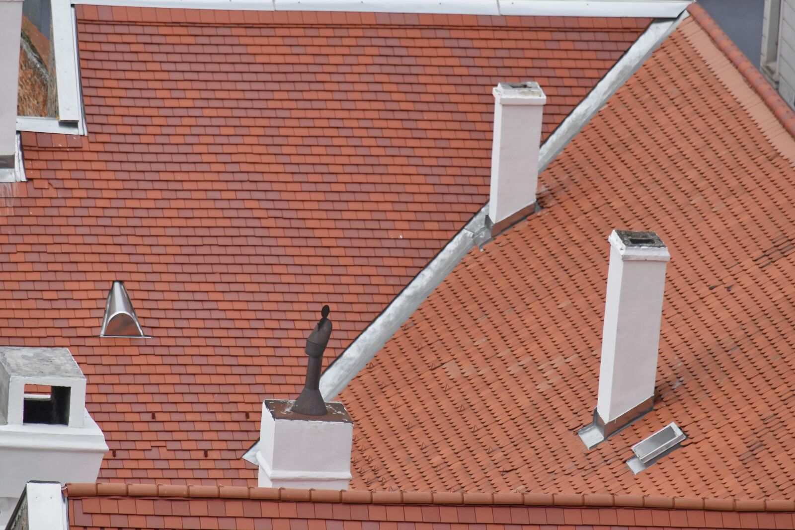Nikon D5500 sample photo. Roofing, roof, material, house photography