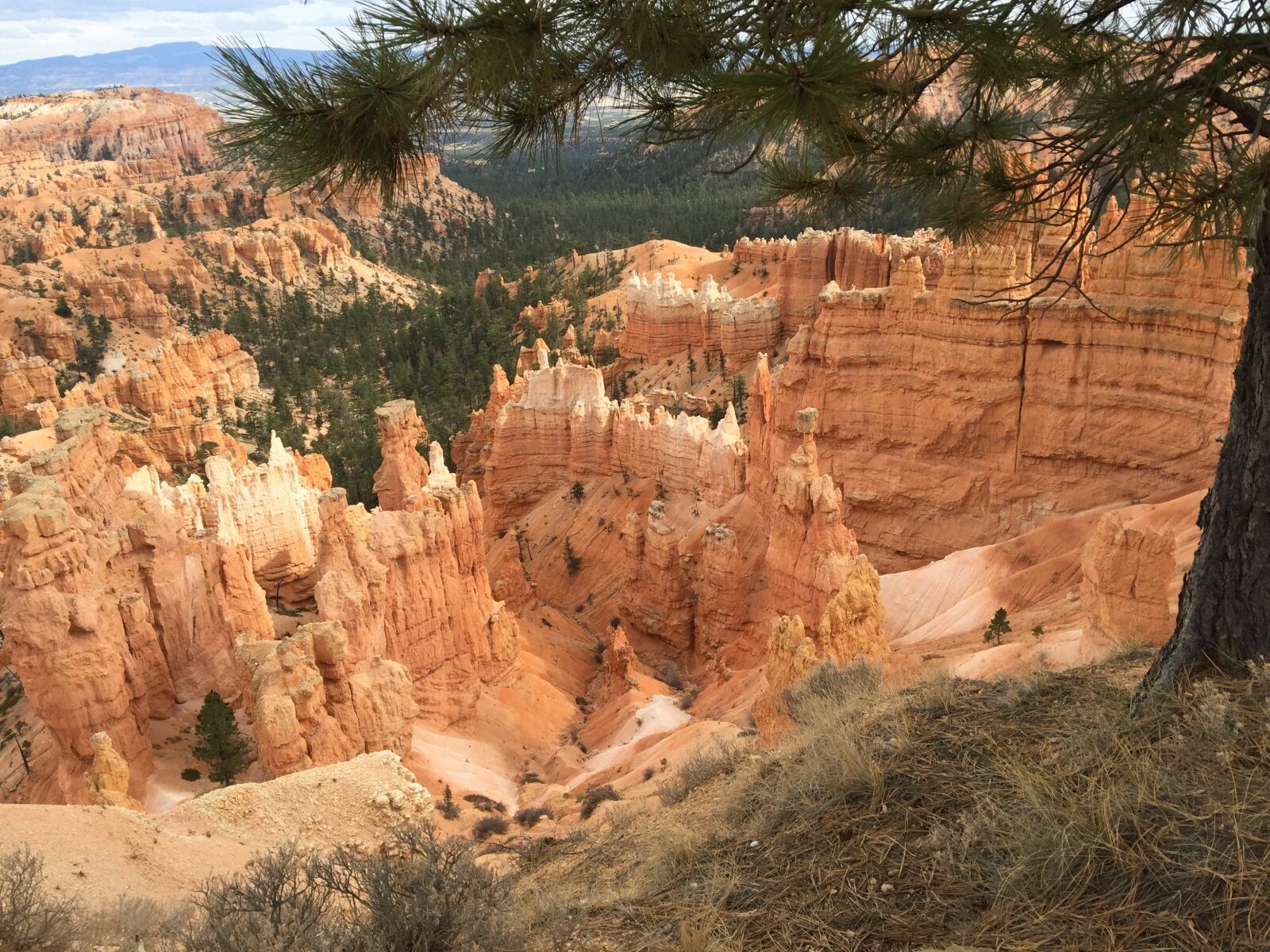 iPhone 6 Plus back camera 4.15mm f/2.2 sample photo. Bryce canyon, park, nature photography