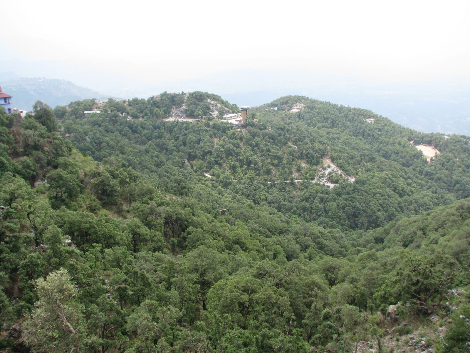Canon POWERSHOT S5 IS sample photo. Greenery, hills, himachal photography