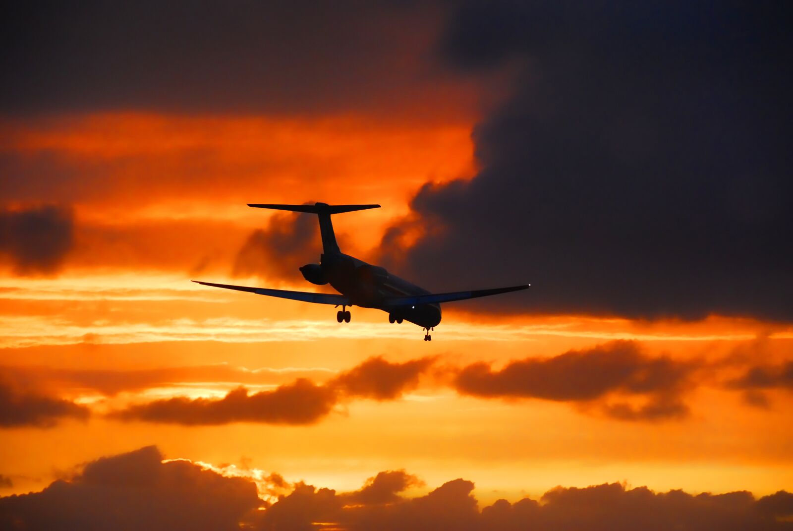 Nikon D60 sample photo. Airplane, flight, landing photography