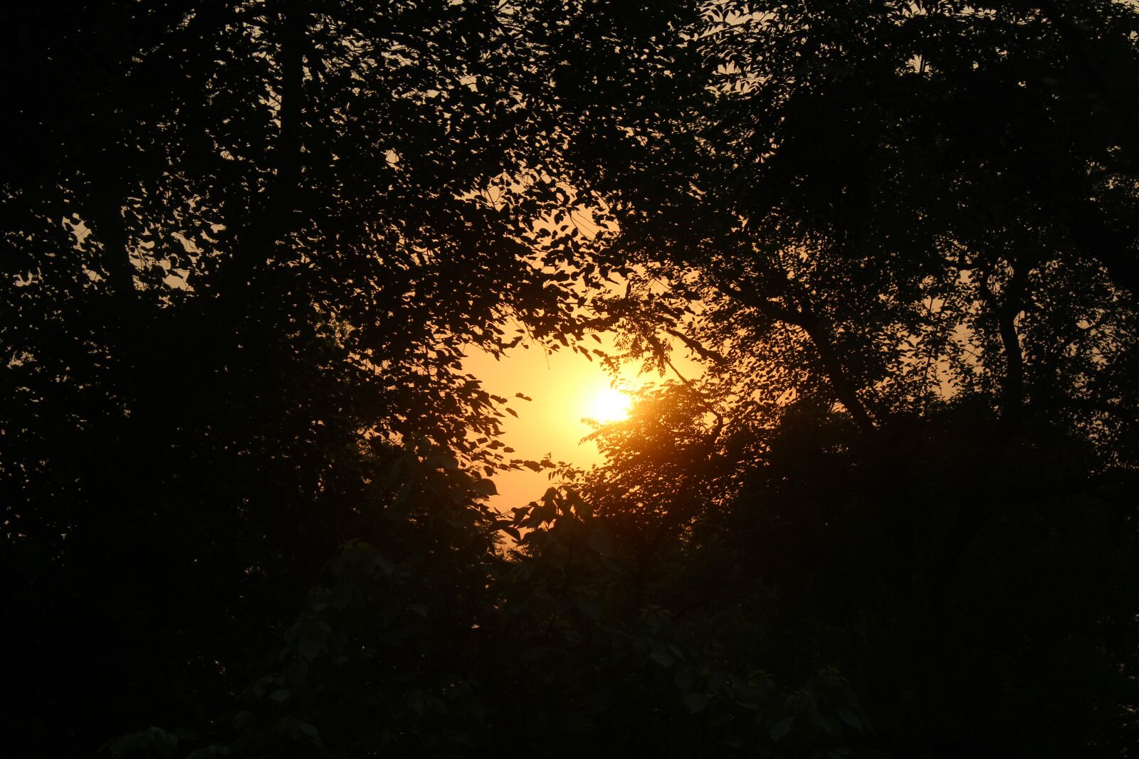 Canon EOS 1200D (EOS Rebel T5 / EOS Kiss X70 / EOS Hi) sample photo. Black, canon, effect, evening photography