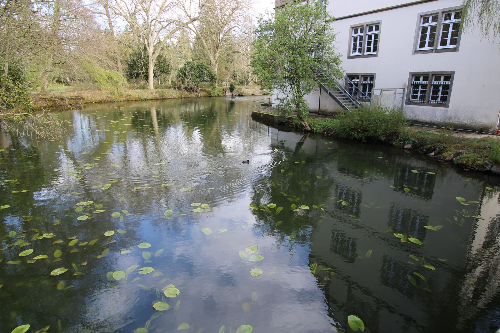 Canon EOS 2000D (EOS Rebel T7 / EOS Kiss X90 / EOS 1500D) sample photo. Burg, wasserschloss, ulenburg photography