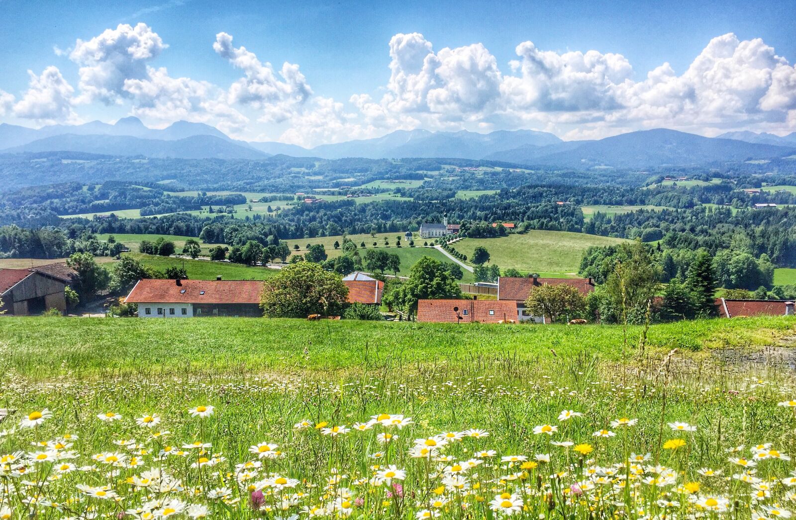 Apple iPhone 6 sample photo. Nature, landscape, field photography