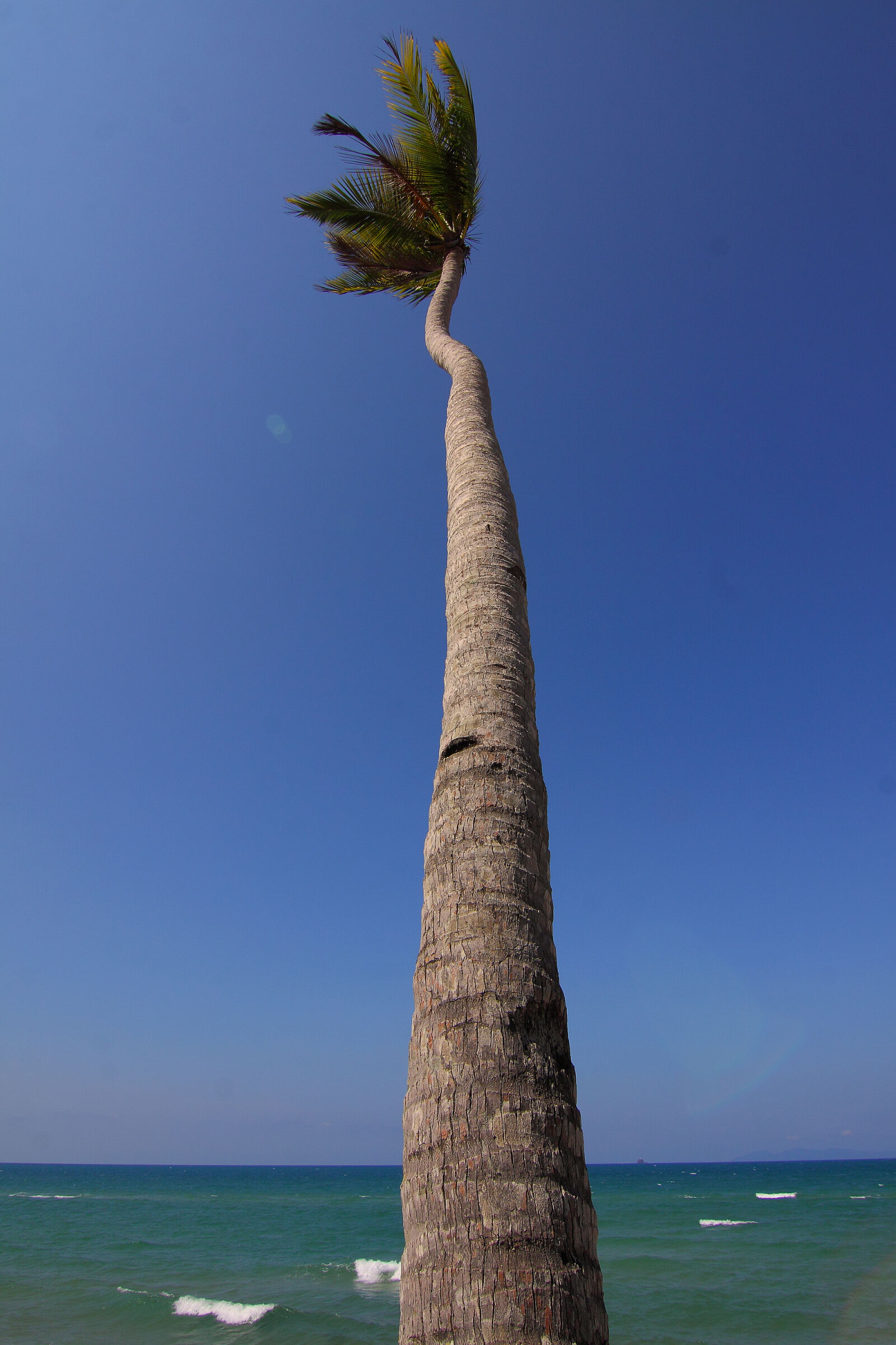 Canon EOS 50D sample photo