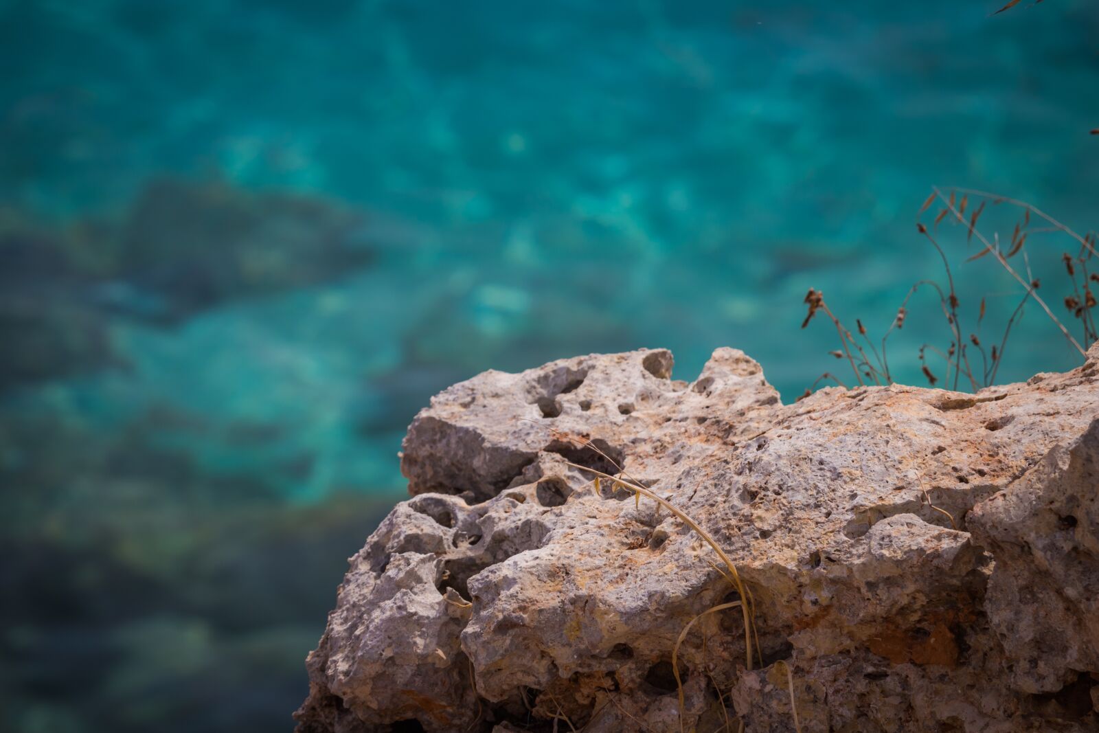 Canon EOS 100D (EOS Rebel SL1 / EOS Kiss X7) sample photo. Stone, sea, stones photography