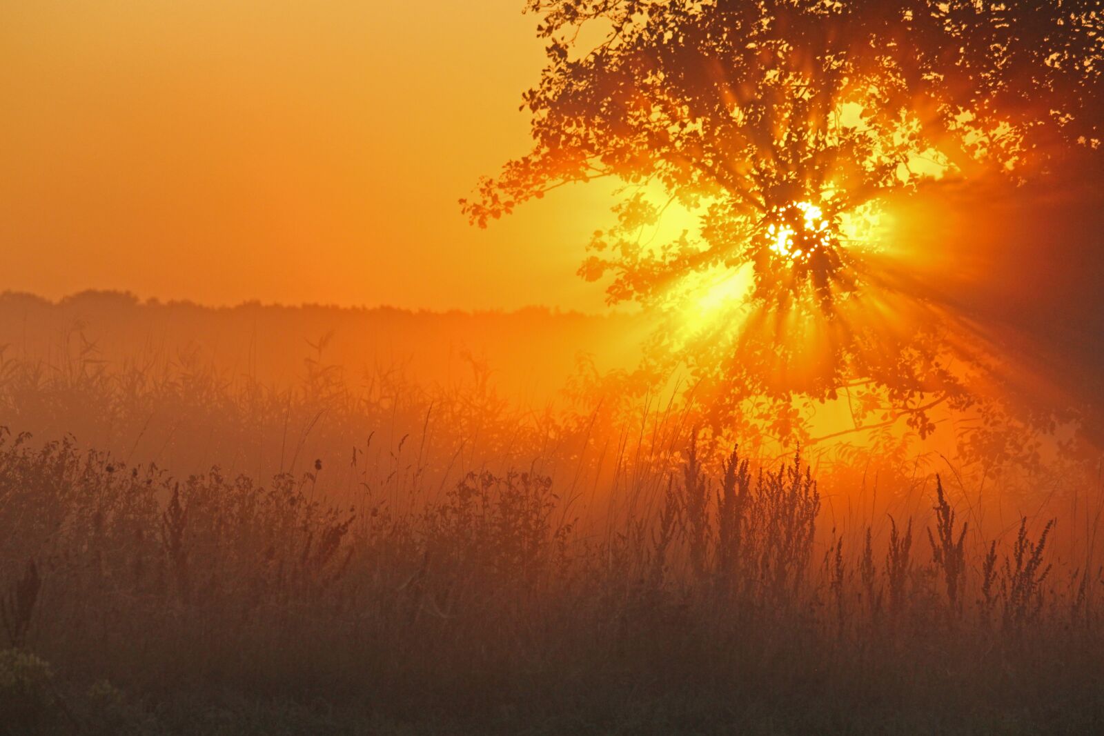 Canon EF-S 55-250mm F4-5.6 IS STM sample photo. Sunrise, morning mist, mood photography