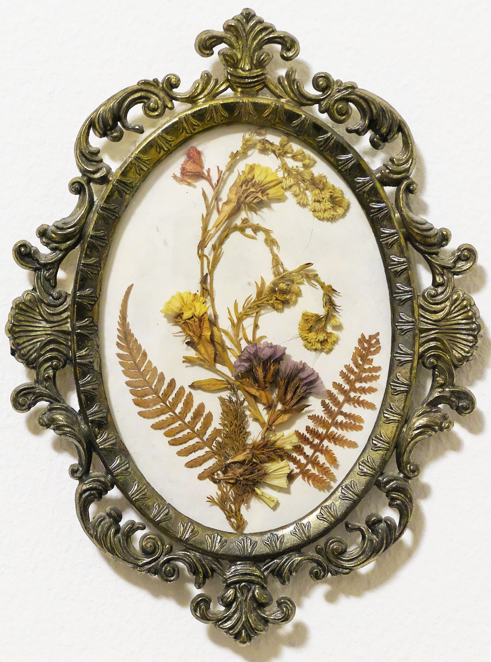 Panasonic Lumix DMC-FZ1000 sample photo. Mural, medallion, flower picture photography