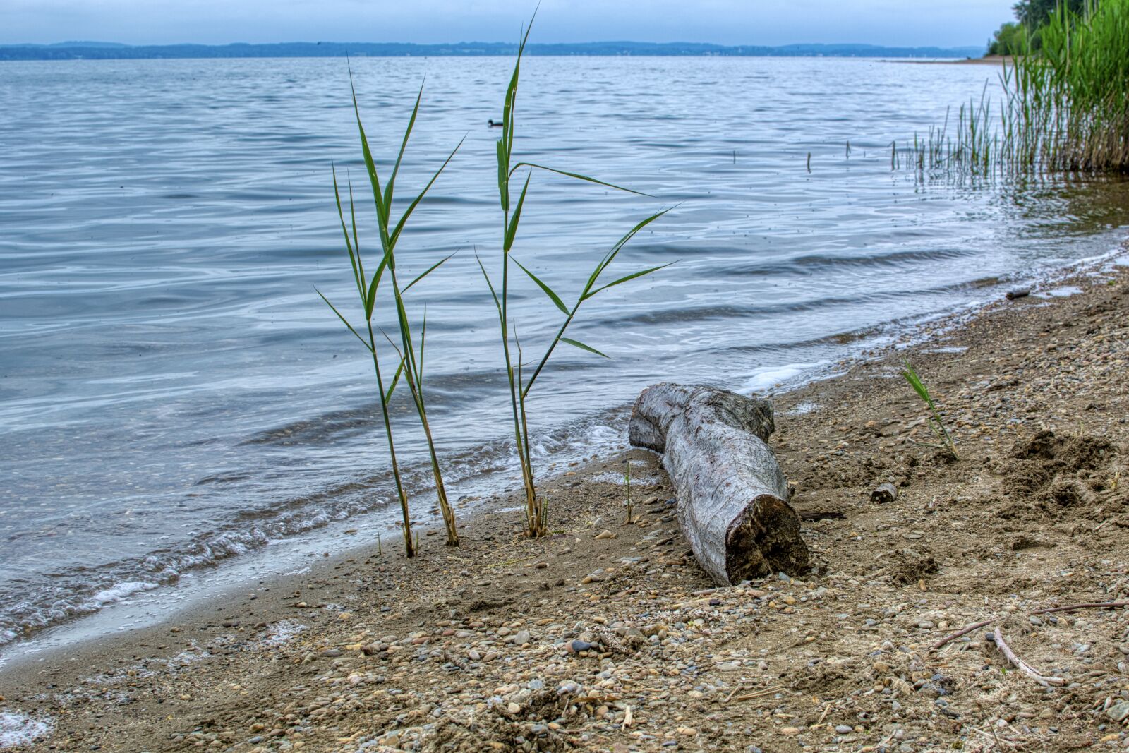 Nikon D7100 sample photo. Flotsam and jetsam, flotsam photography