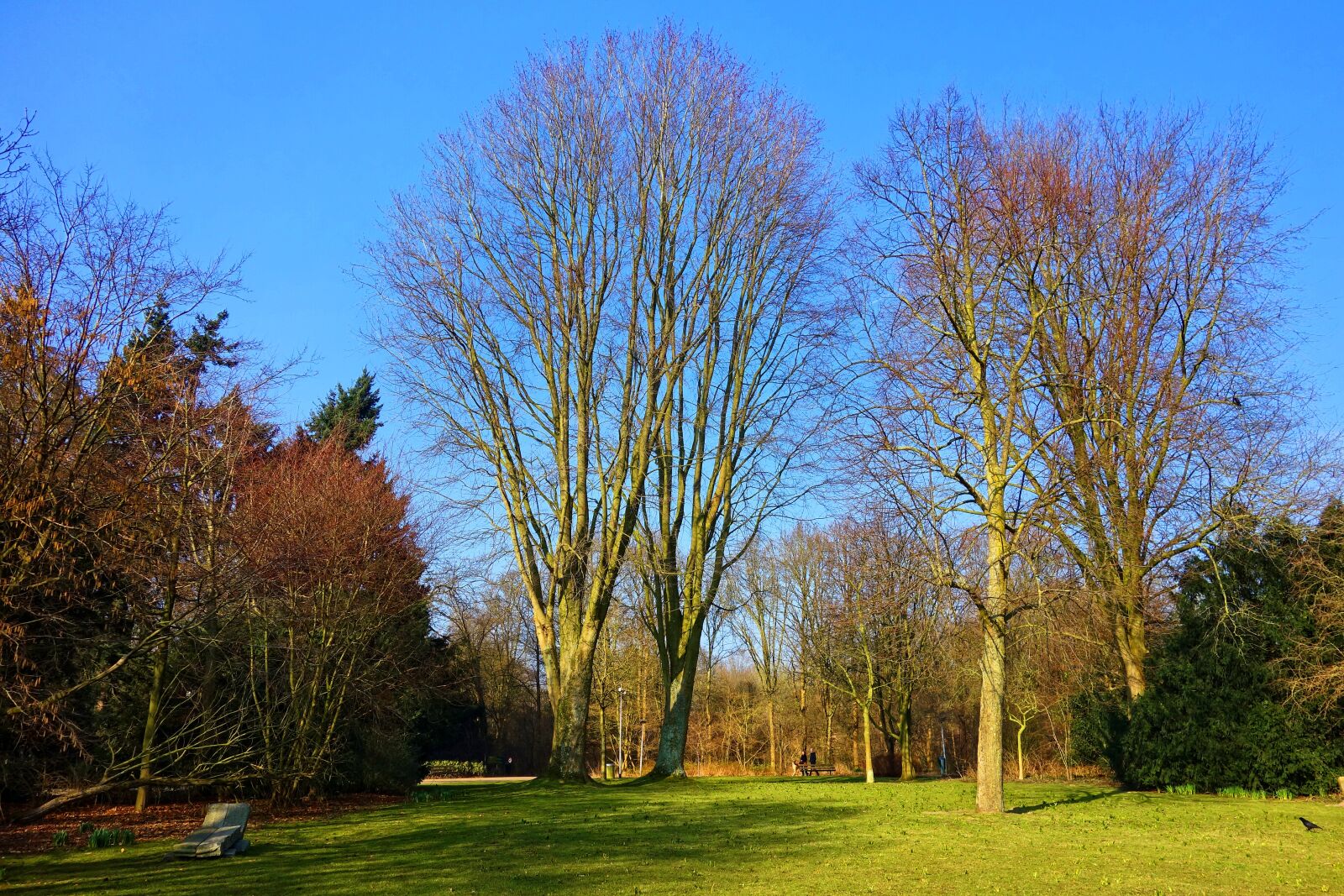 Sony Cyber-shot DSC-RX100 sample photo. Park, landscape, lawn photography