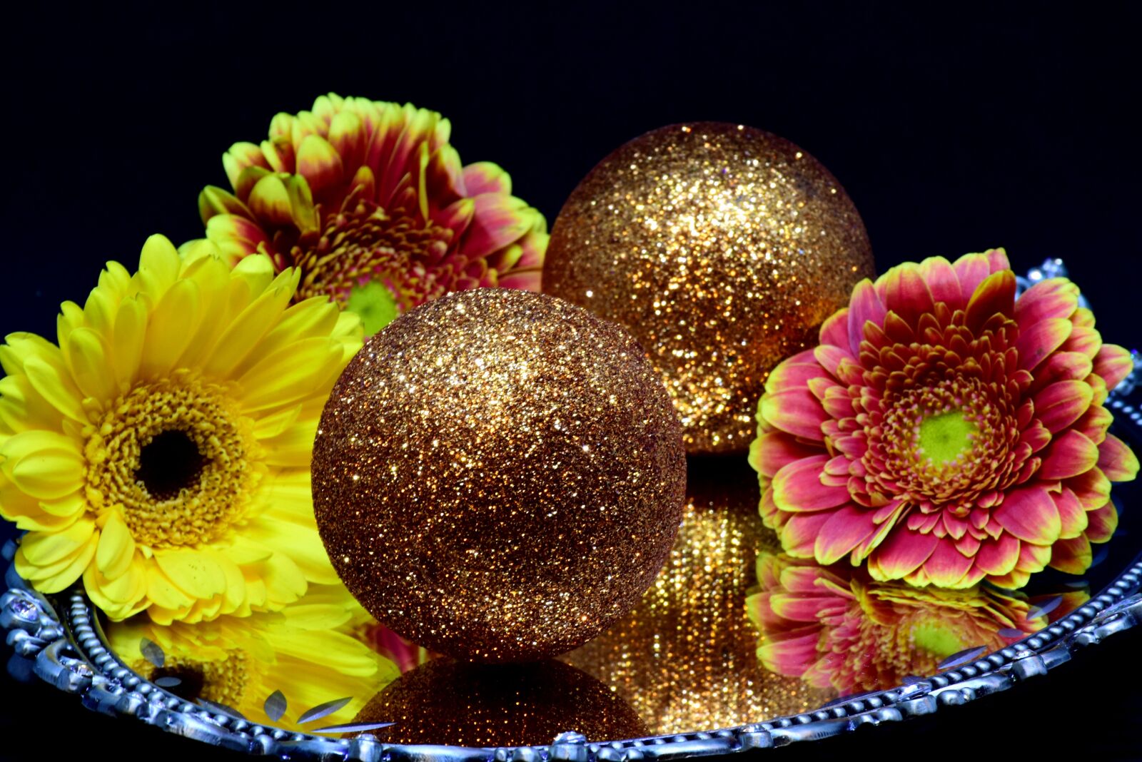 Nikon D7200 sample photo. Gerbera, flowers, shell photography