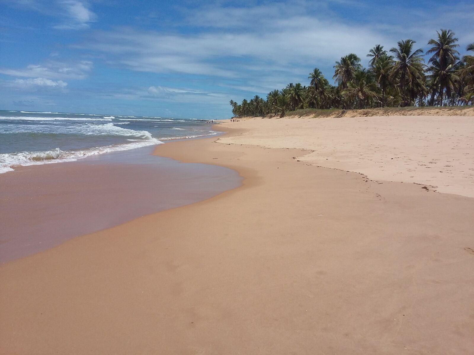 Samsung Galaxy Grand Prime sample photo. Palms, sea, beach photography