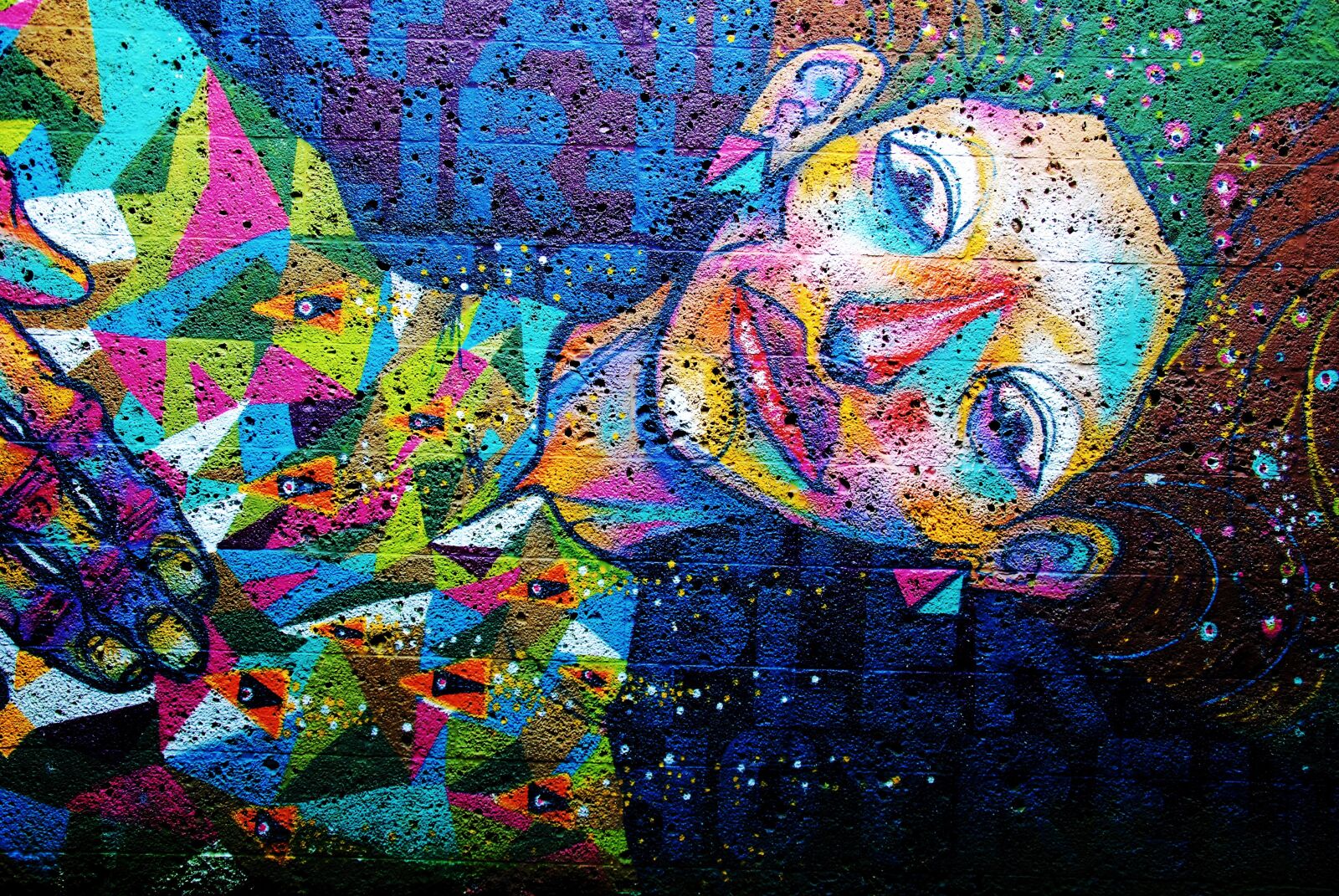 Nikon D3000 sample photo. Mural, color, artfully photography