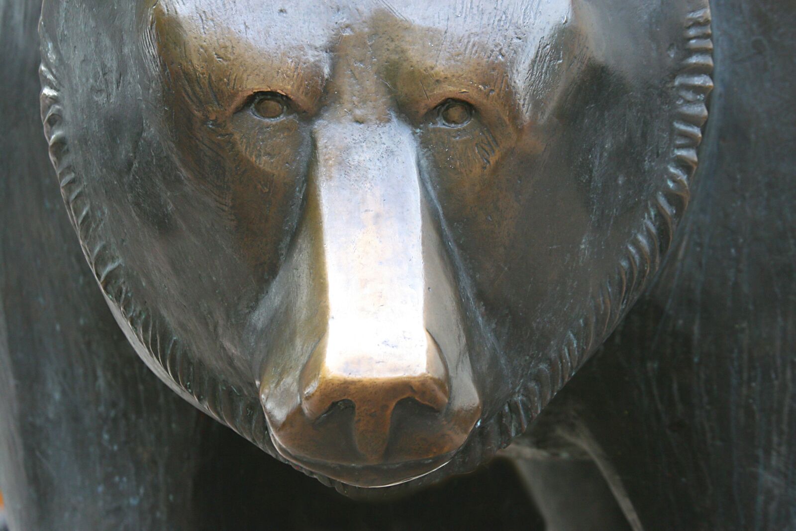 Canon EOS 30D sample photo. Bear, stock exchange, finance photography