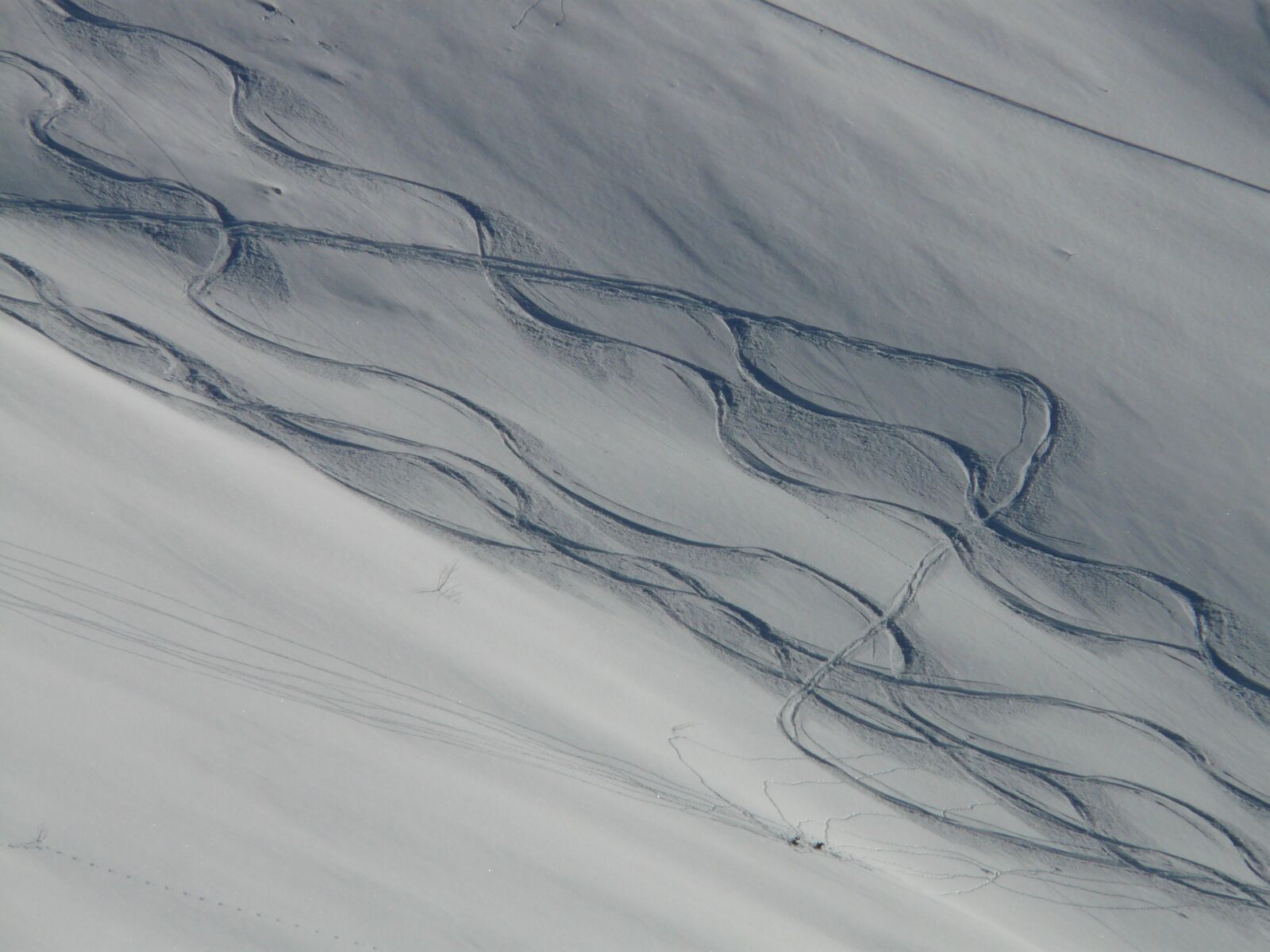 Panasonic DMC-FZ18 sample photo. Skiing, departure, wag photography