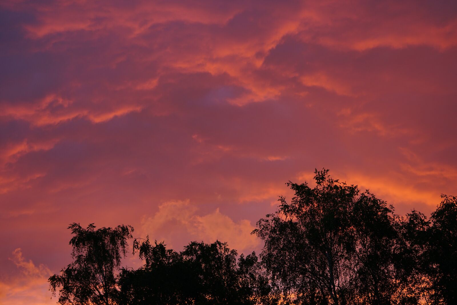 Sony a7R II + Sony FE 90mm F2.8 Macro G OSS sample photo. Cloudscape, clouds, sky photography