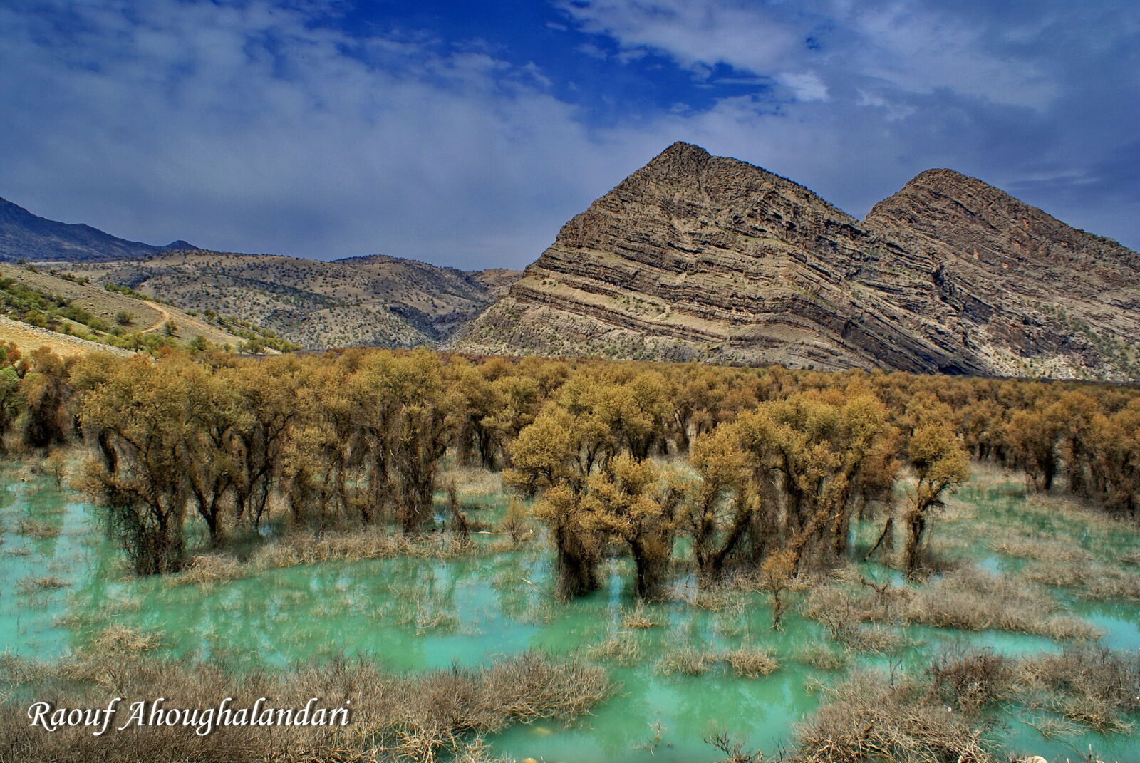 Sony Alpha DSLR-A100 sample photo. Khozestan, iran photography