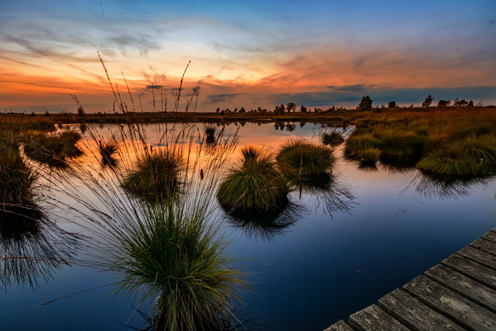 Canon EOS 70D sample photo. High fens, venn, belgium photography