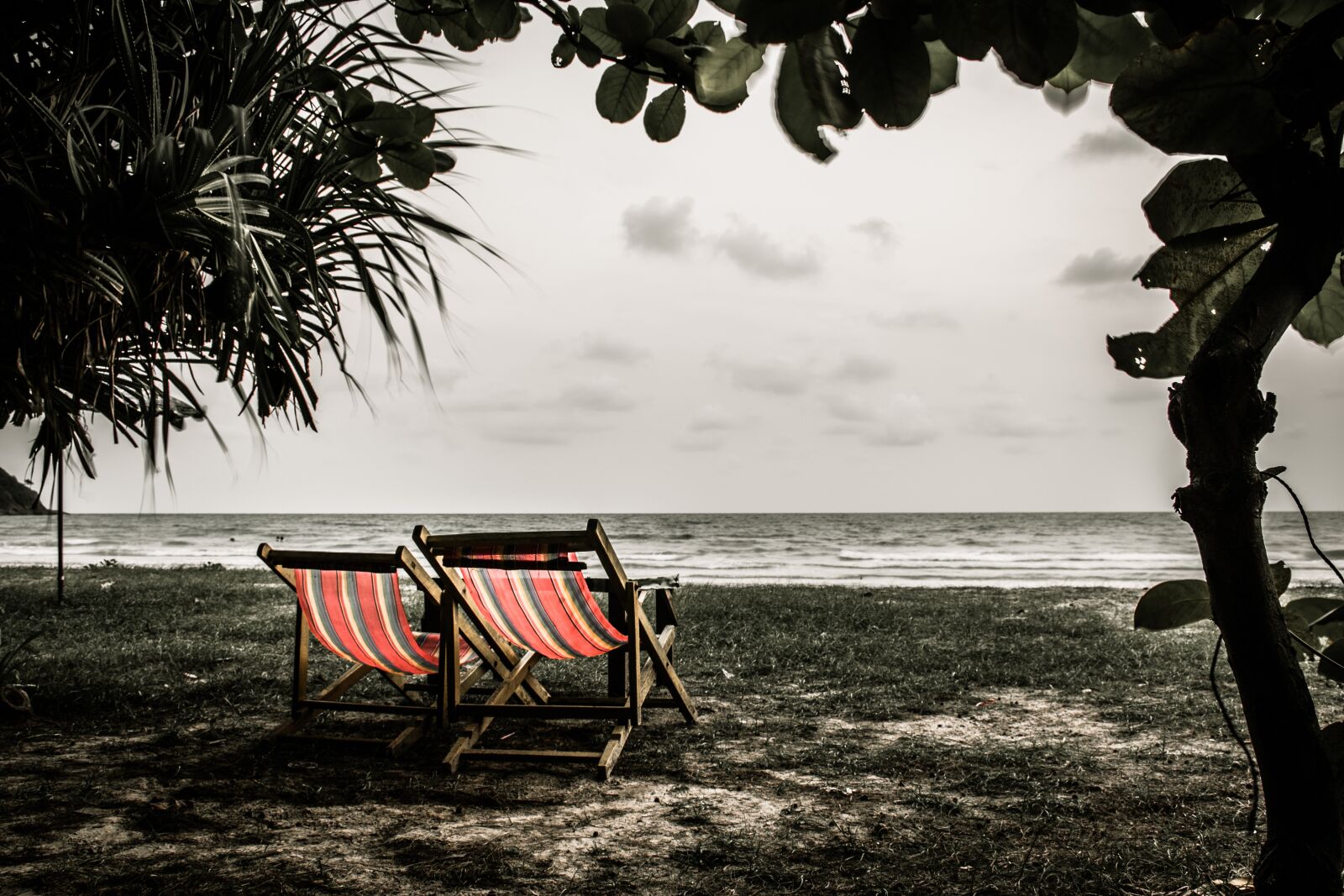 Nikon D5600 sample photo. Beach, sadly, thailand photography
