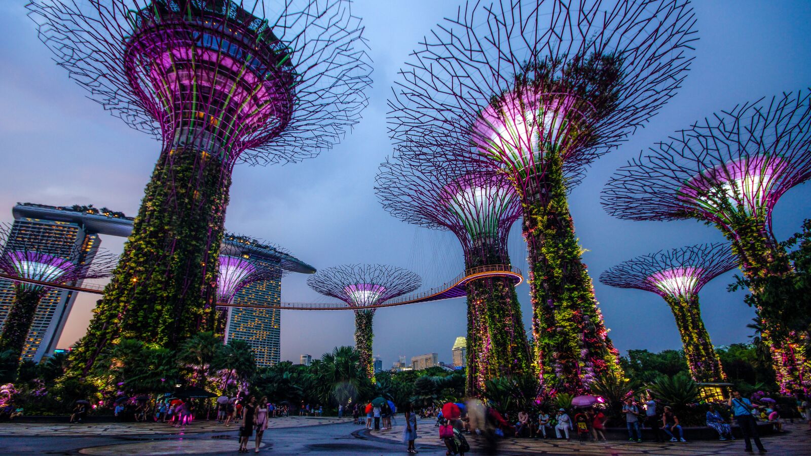 Sony SLT-A65 (SLT-A65V) sample photo. Garden by the bay photography