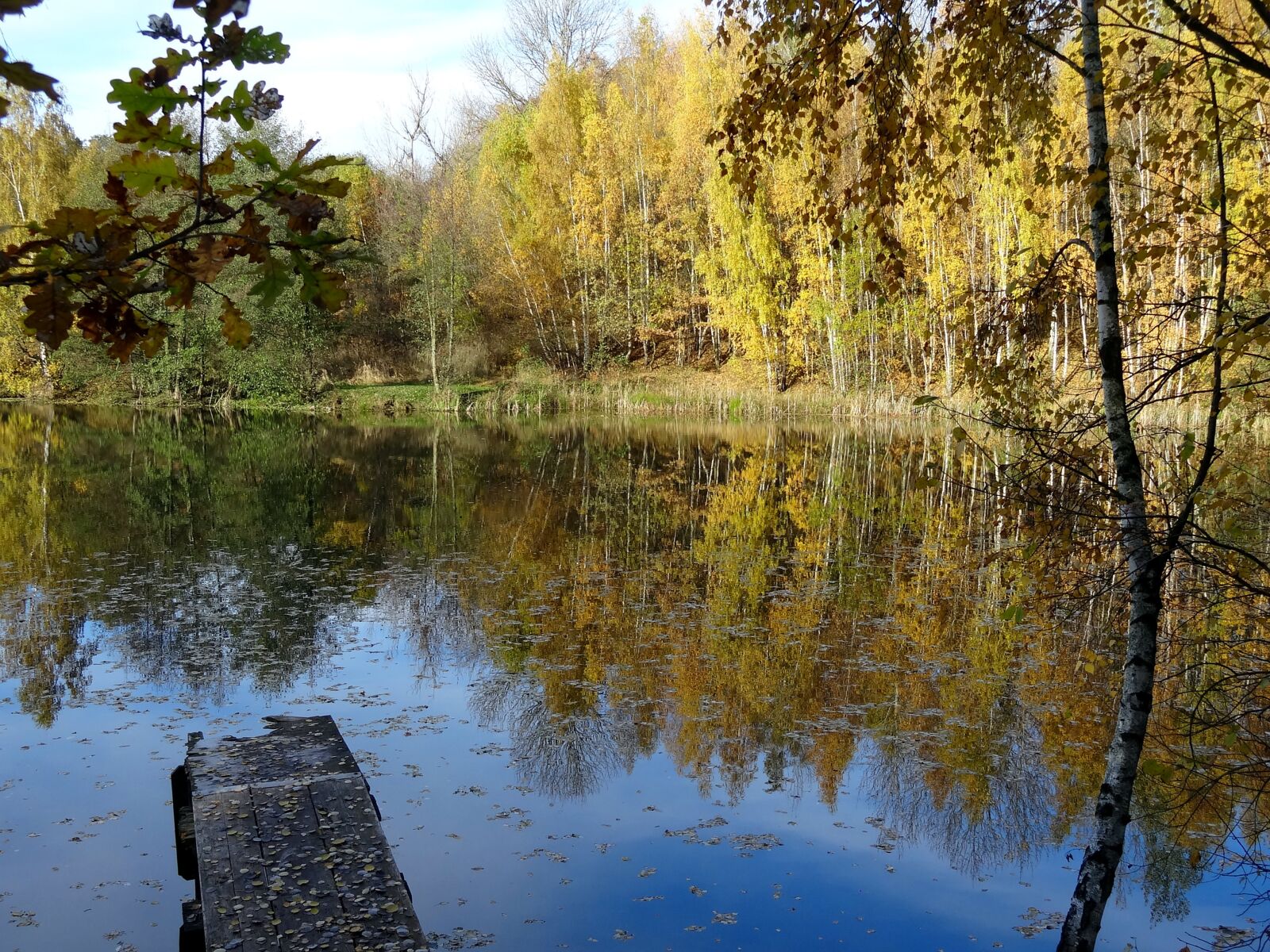 Sony Cyber-shot DSC-HX10V sample photo. Autumn, water, pond photography