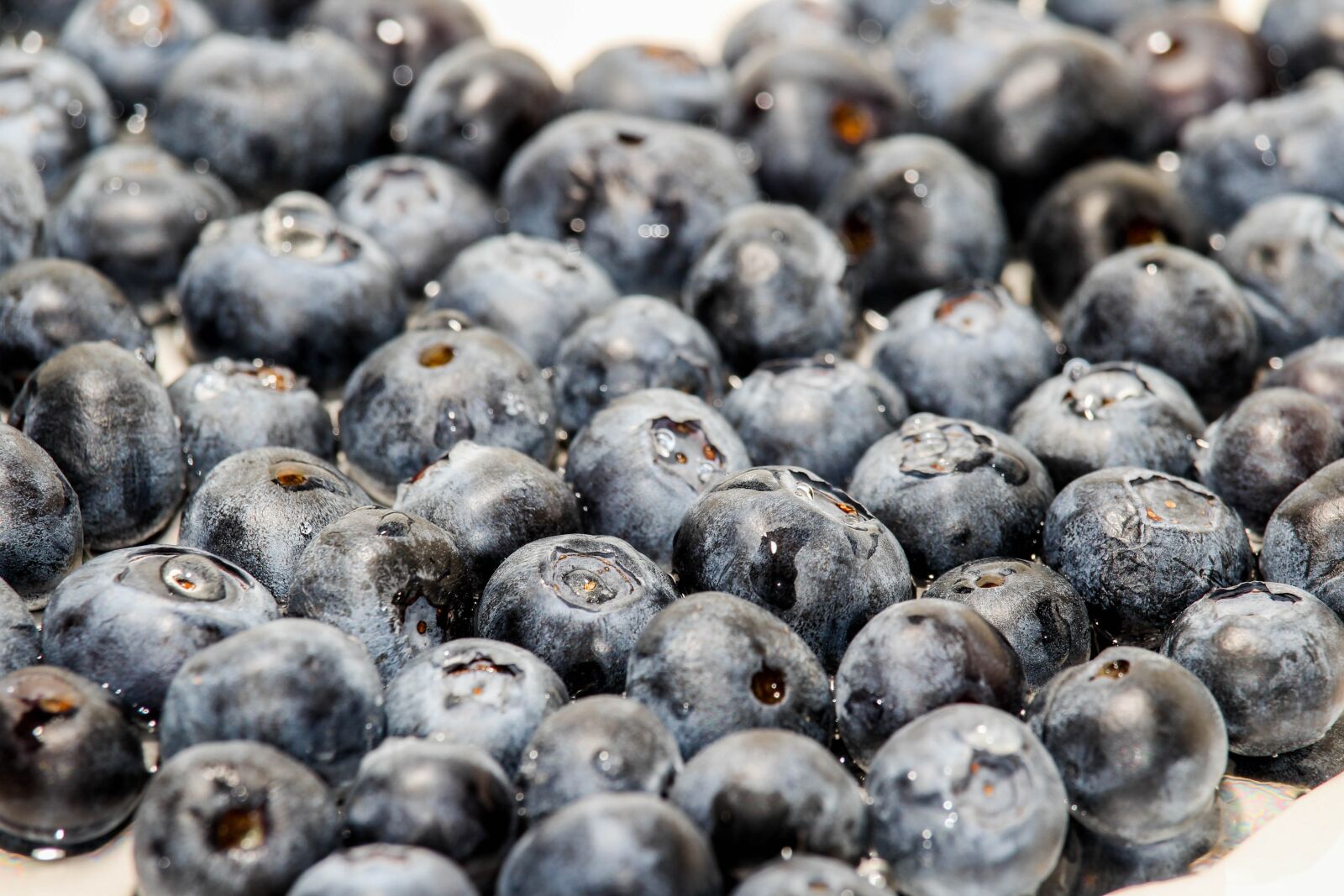 Canon EOS 1200D (EOS Rebel T5 / EOS Kiss X70 / EOS Hi) sample photo. Blueberry, food, fruit photography