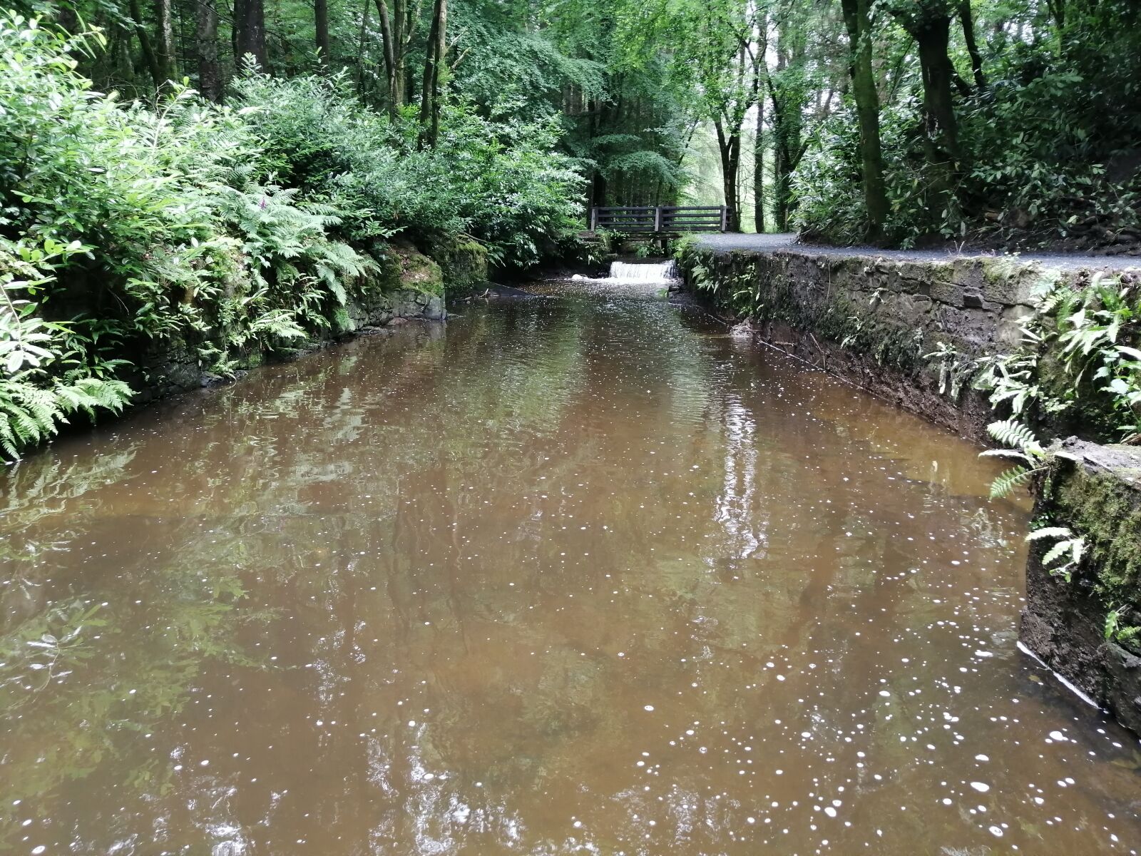 HUAWEI JSN-L21 sample photo. Water reflection, rosmorepark, ireland photography