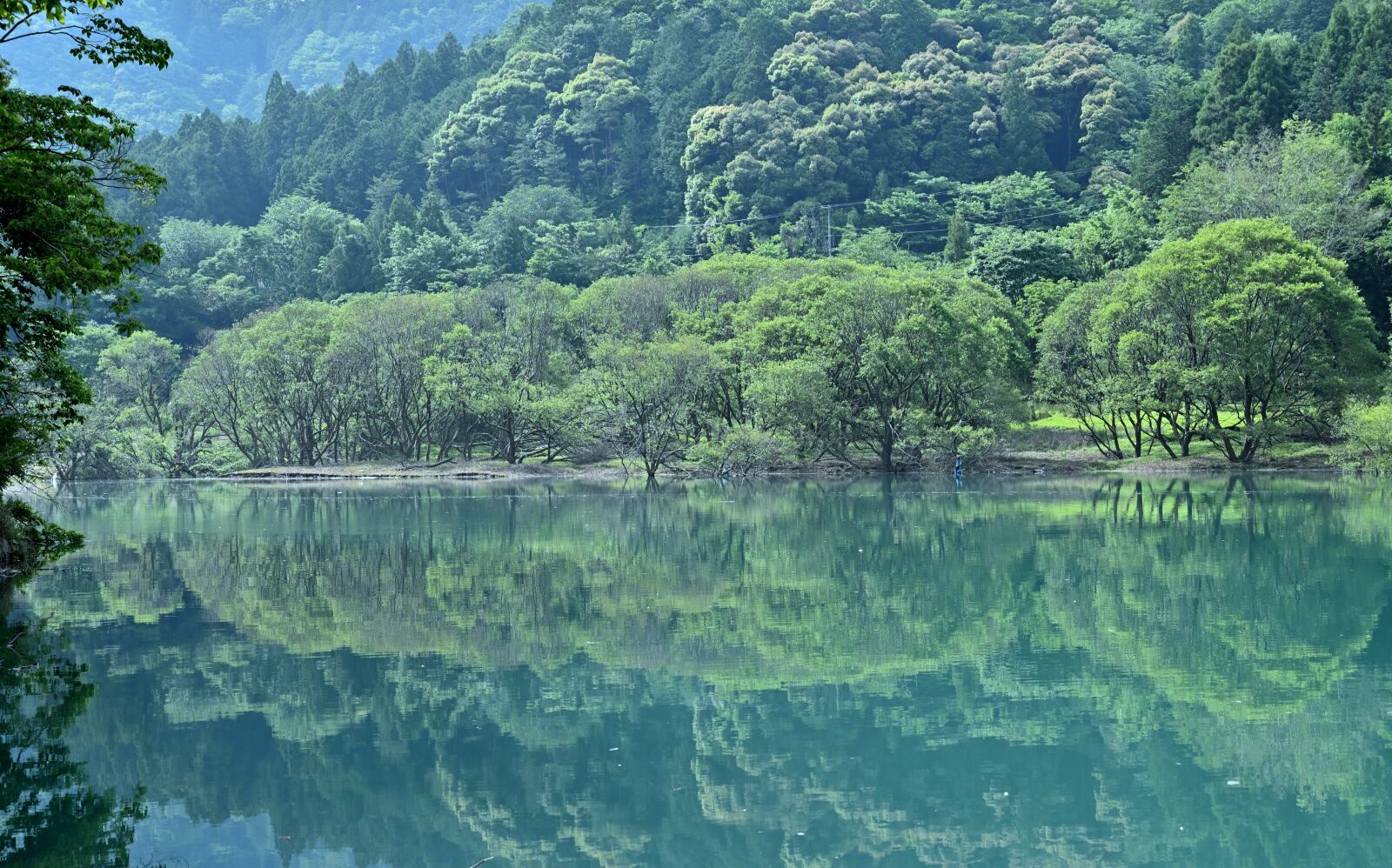 Nikon Nikkor Z 24-70mm F4 S sample photo. Lake, reflection, natural photography