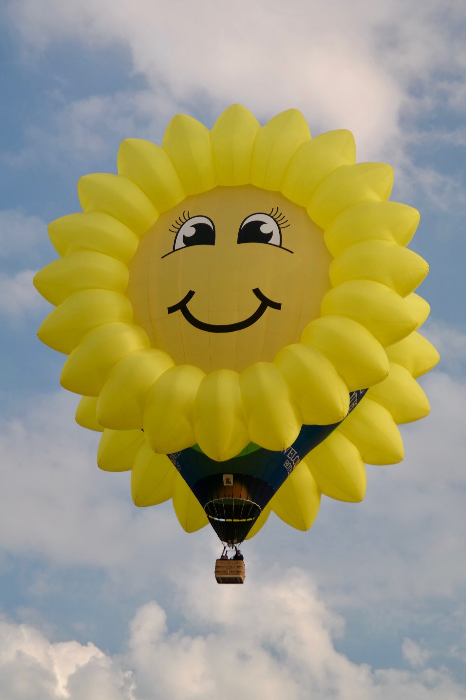 Samsung NX300 sample photo. Balloon, yellow, sunflower photography