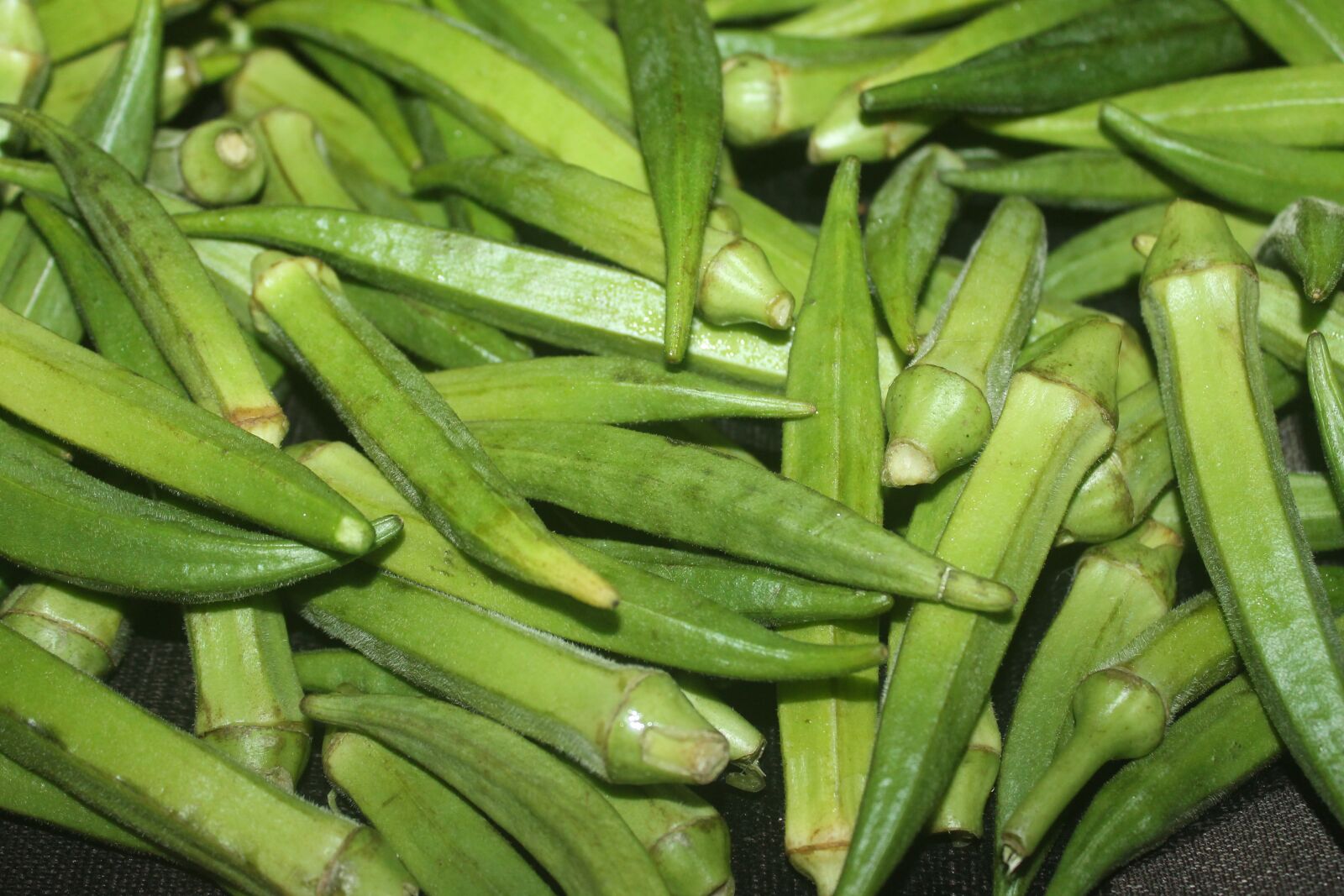 Canon EOS 1100D (EOS Rebel T3 / EOS Kiss X50) sample photo. Vegetable, okra, bhindi photography
