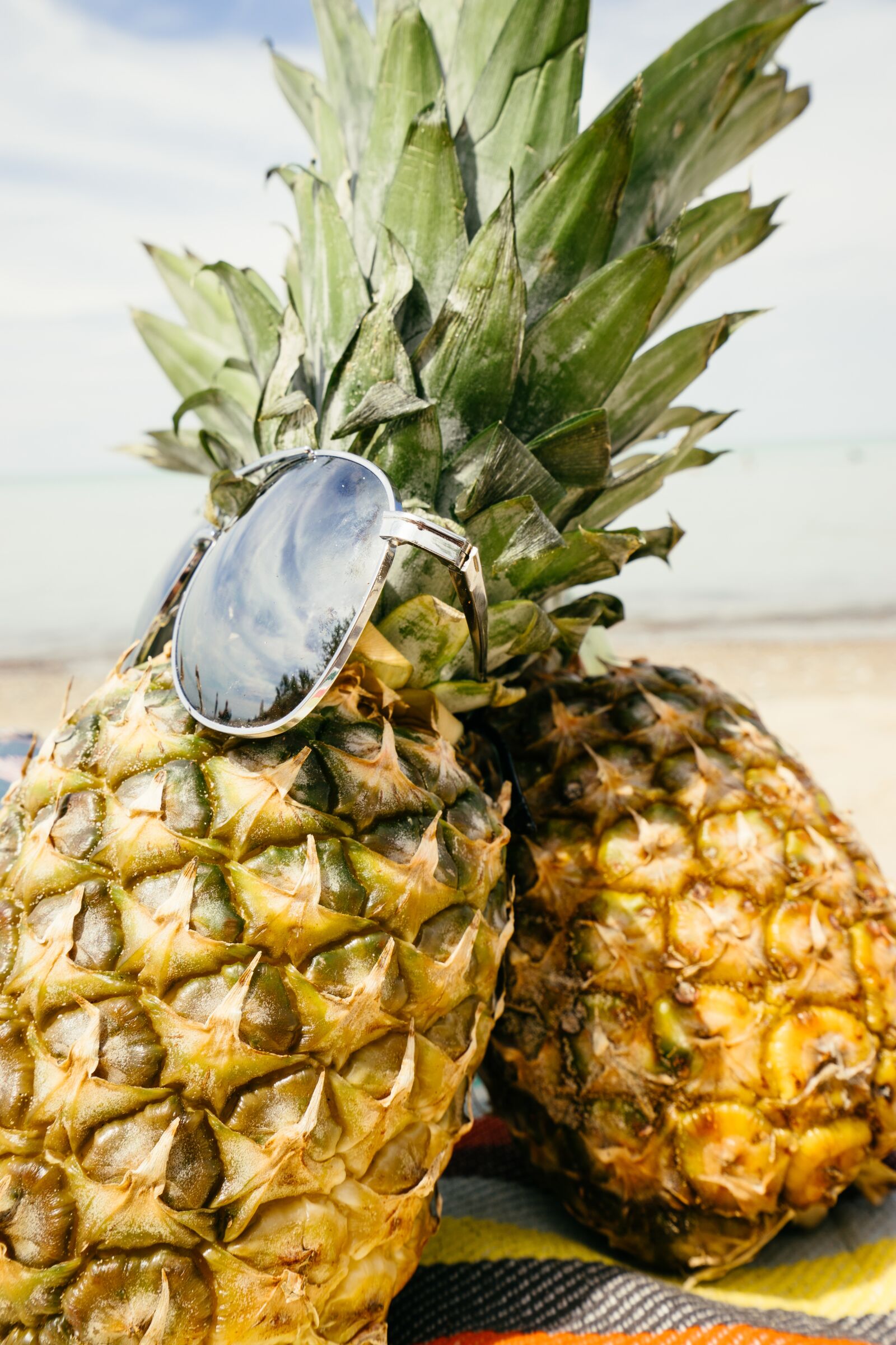 Sony a7 II + Sony Vario-Tessar T* FE 16-35mm F4 ZA OSS sample photo. Pineapples, sand, beach photography