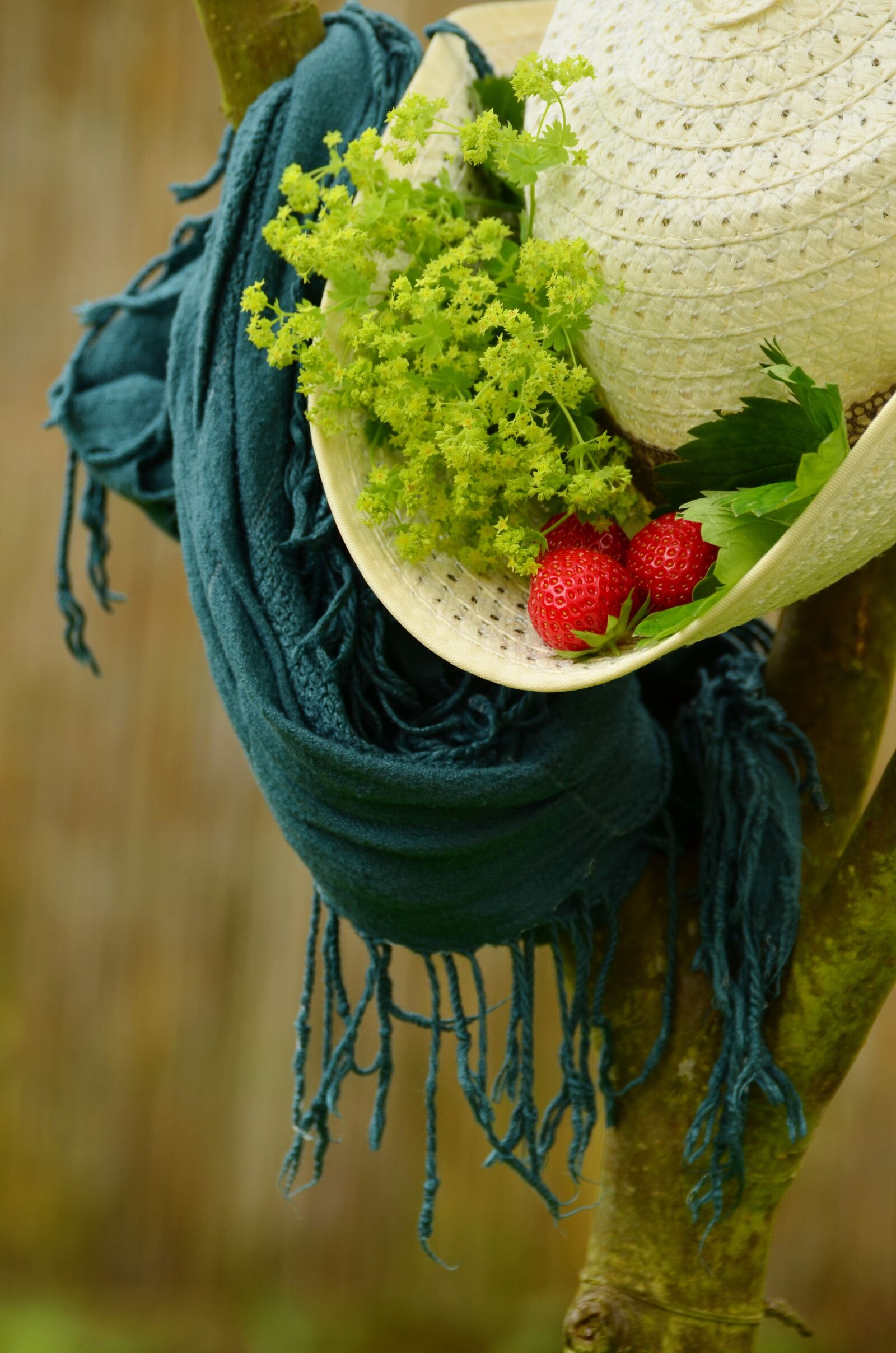 Nikon D5100 sample photo. Hat, summer, straw hat photography