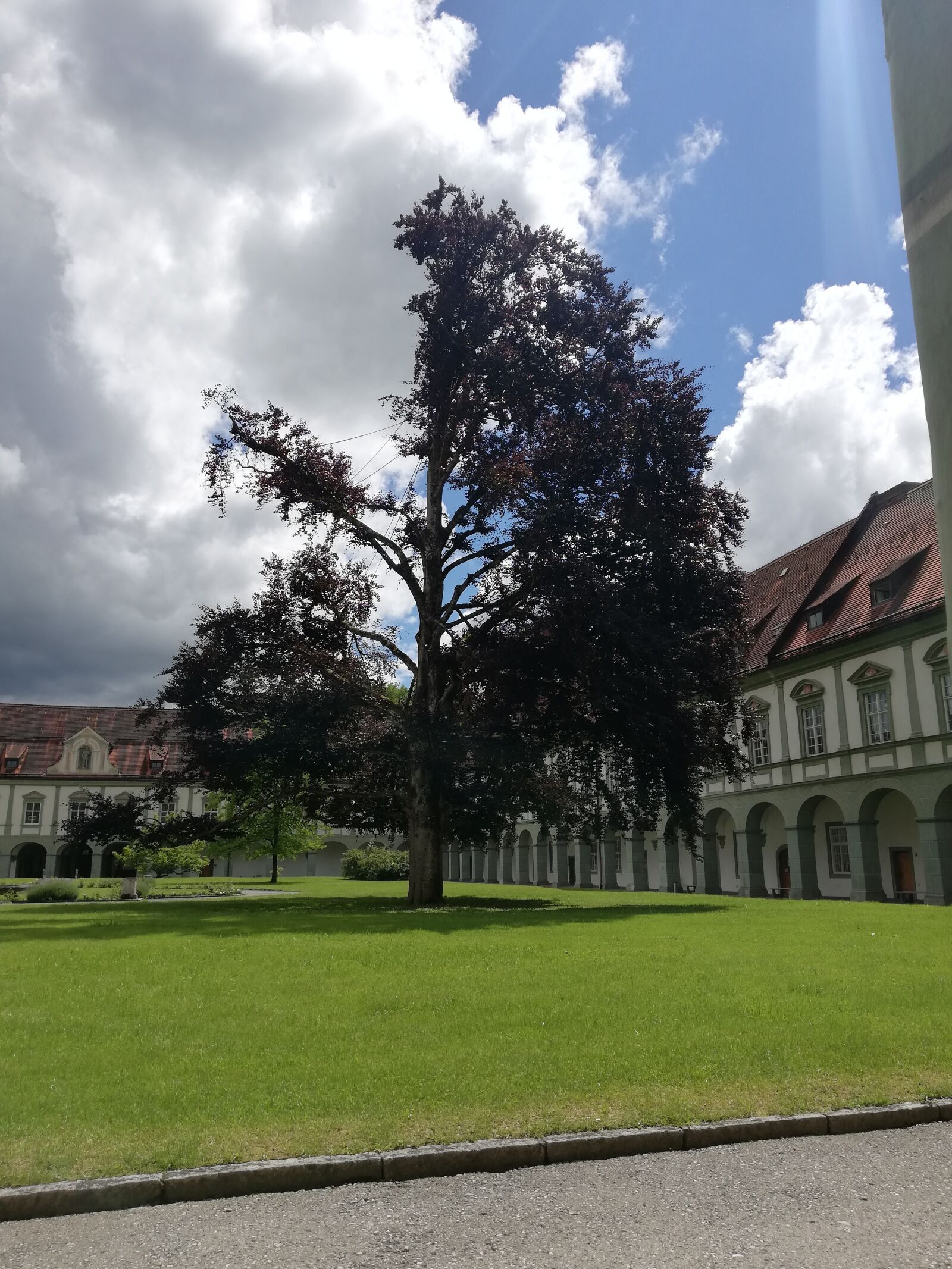 HUAWEI P20 lite sample photo. Benedikt beuren, bavaria, summer photography