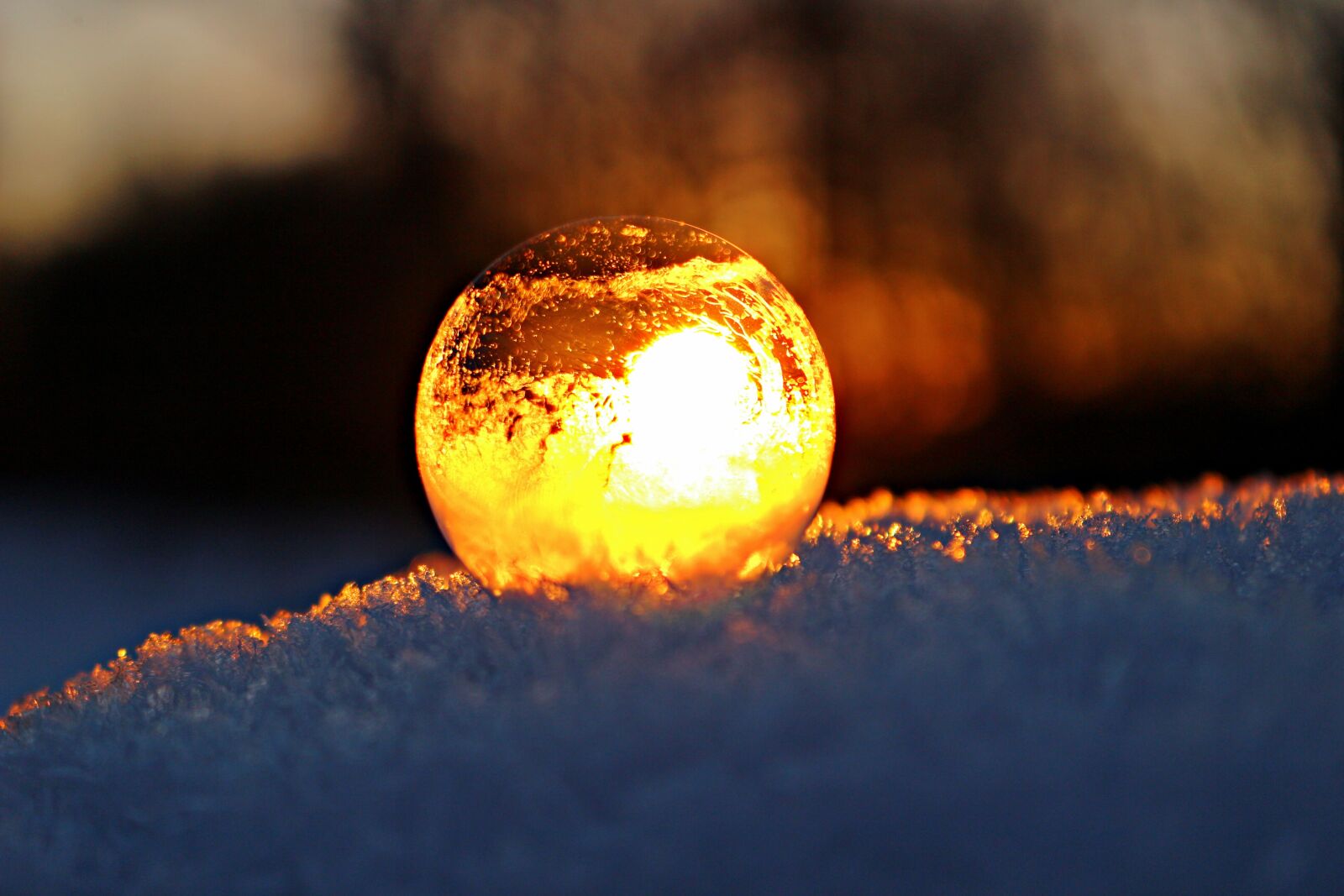 Canon EOS 100D (EOS Rebel SL1 / EOS Kiss X7) sample photo. Soap bubble, eiskristalle, frost photography