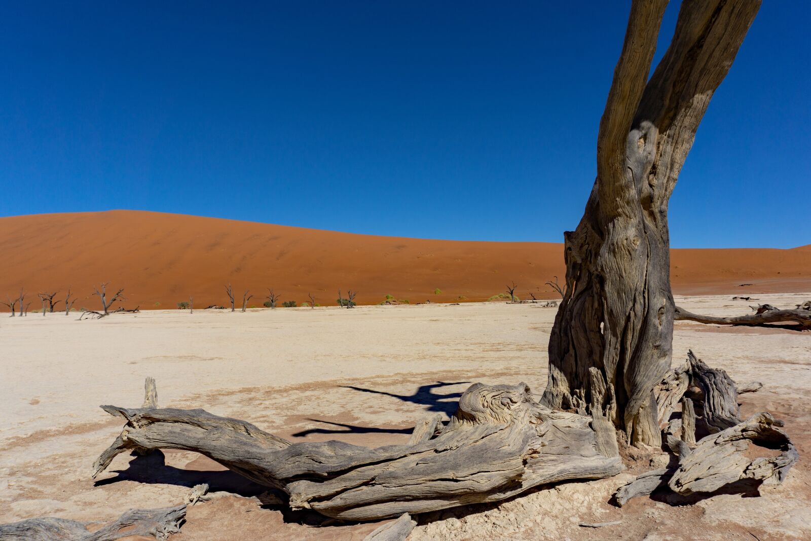 Sony a6000 + Sony E 16-50mm F3.5-5.6 PZ OSS sample photo. Namibia, desert, sossusvlei photography