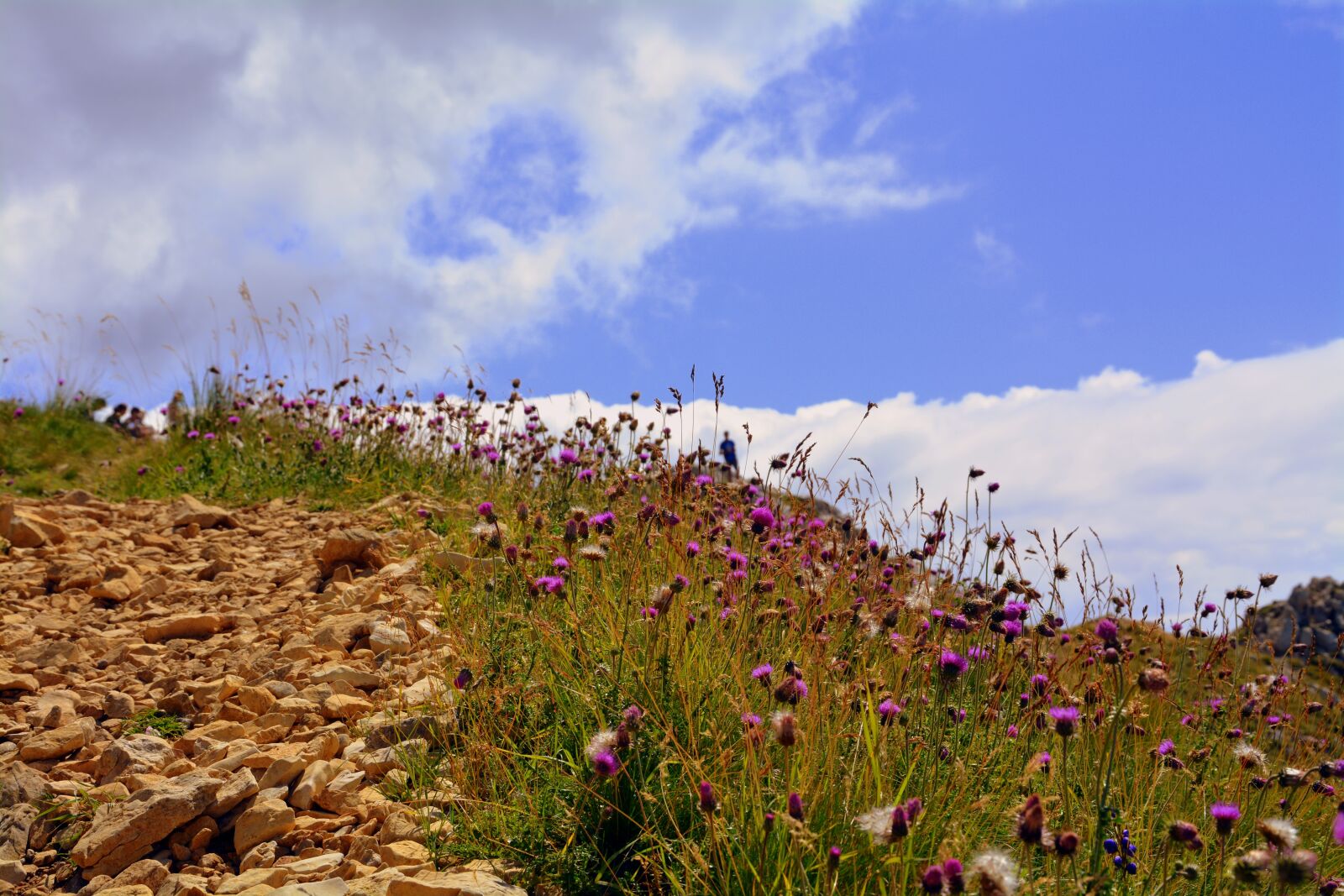 Nikon D7100 sample photo. Prato, sky, clouds photography