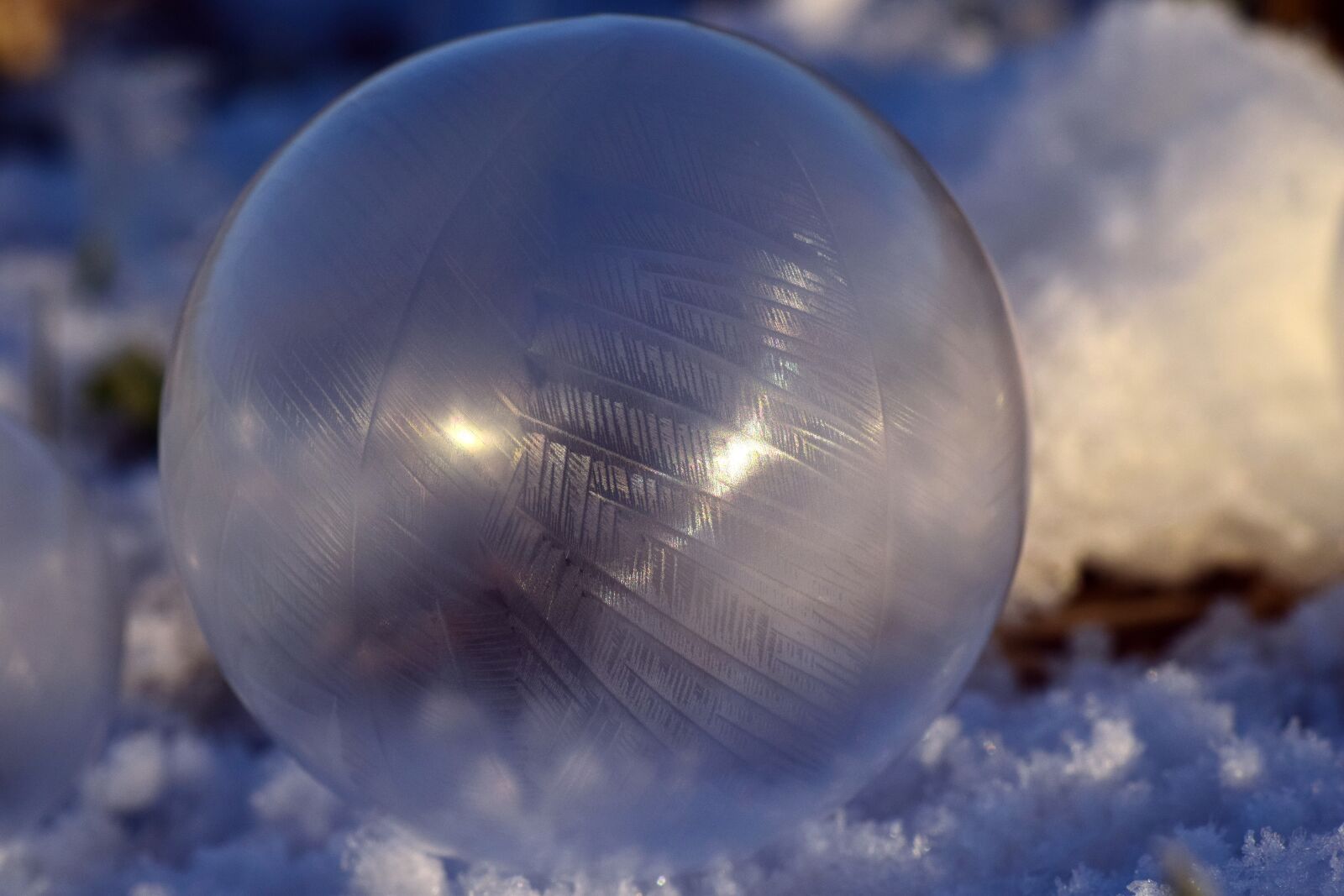 Nikon D3300 sample photo. Ball, frozen, frosted photography