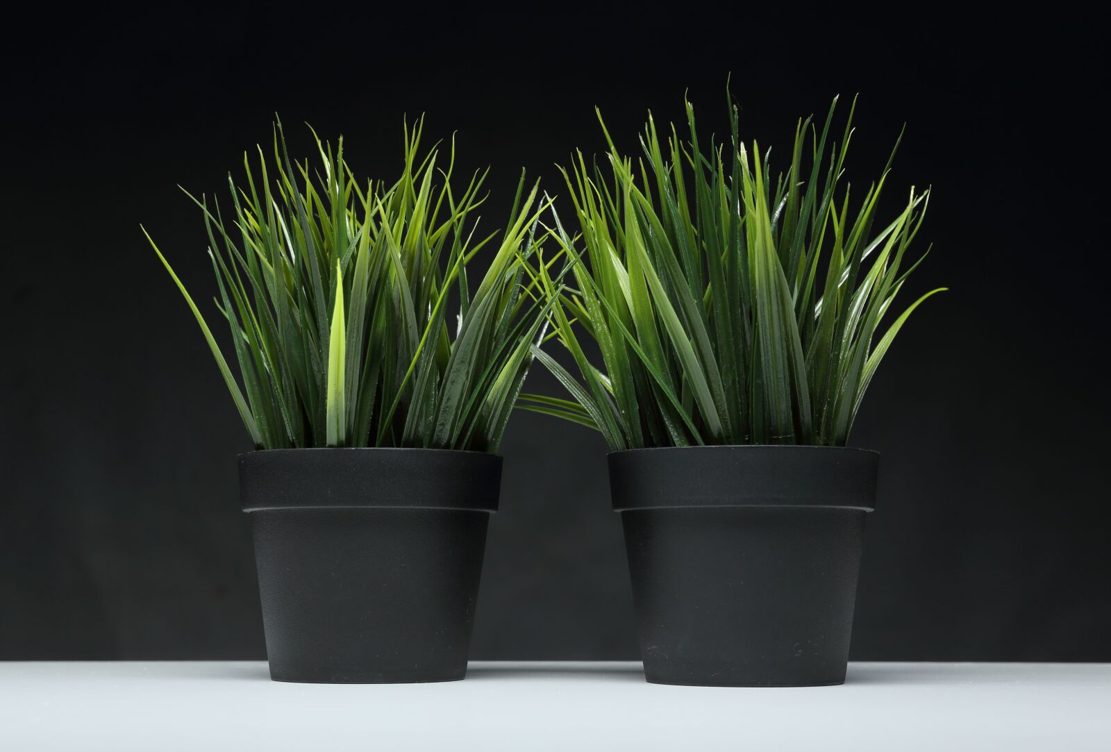 Canon EF 24-70mm F2.8L II USM sample photo. Artificial grass, grass in photography